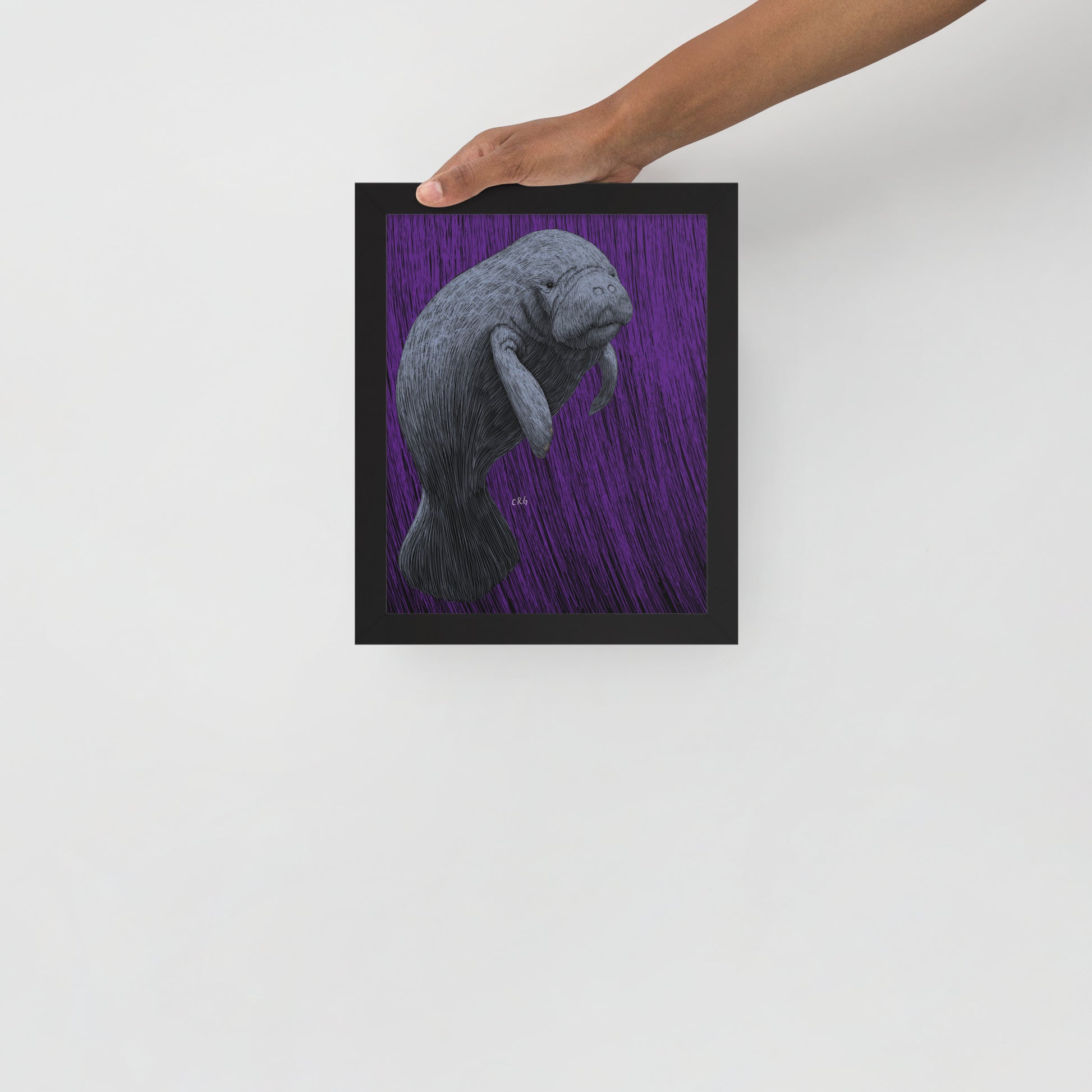 Manatee Art Print