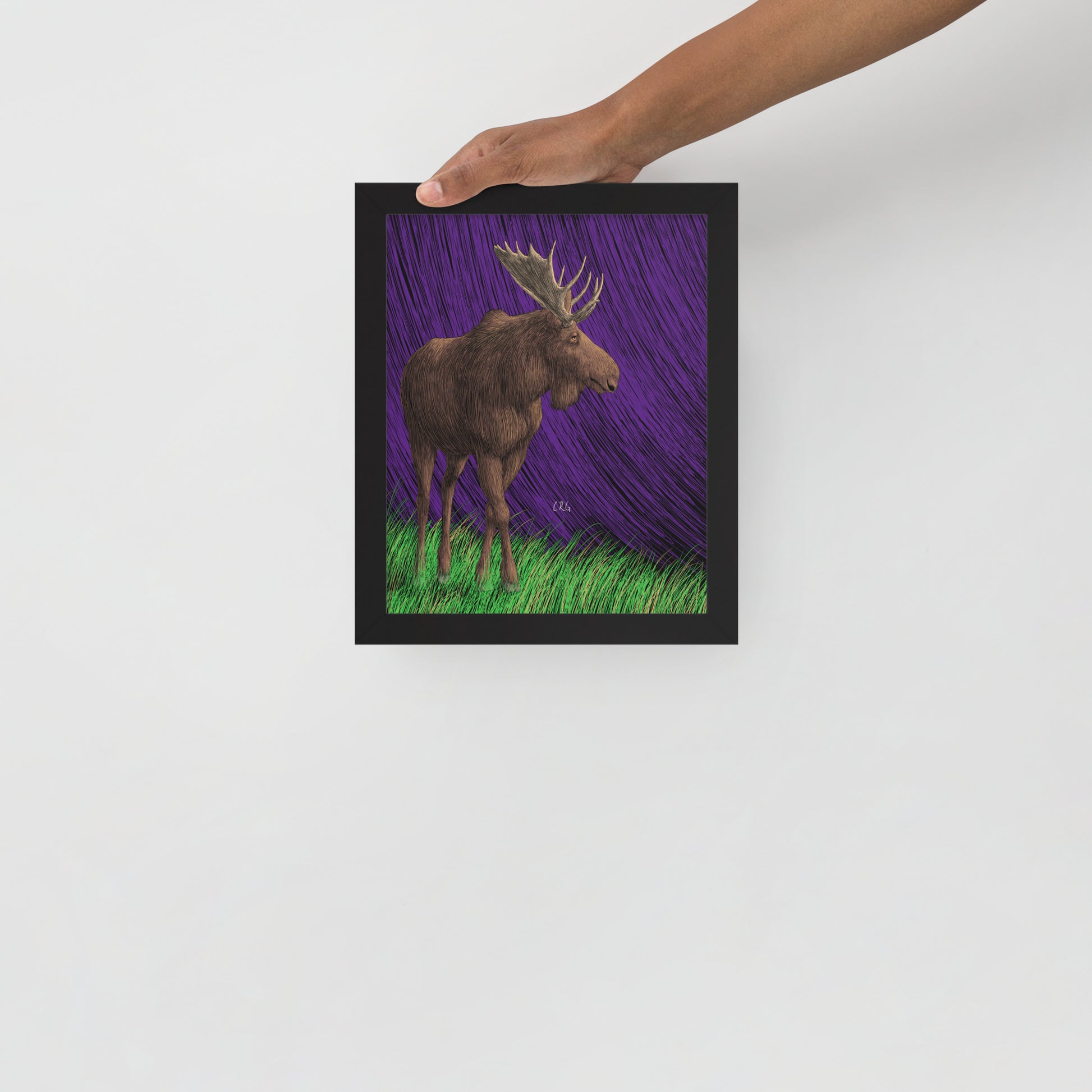Moose Art Print