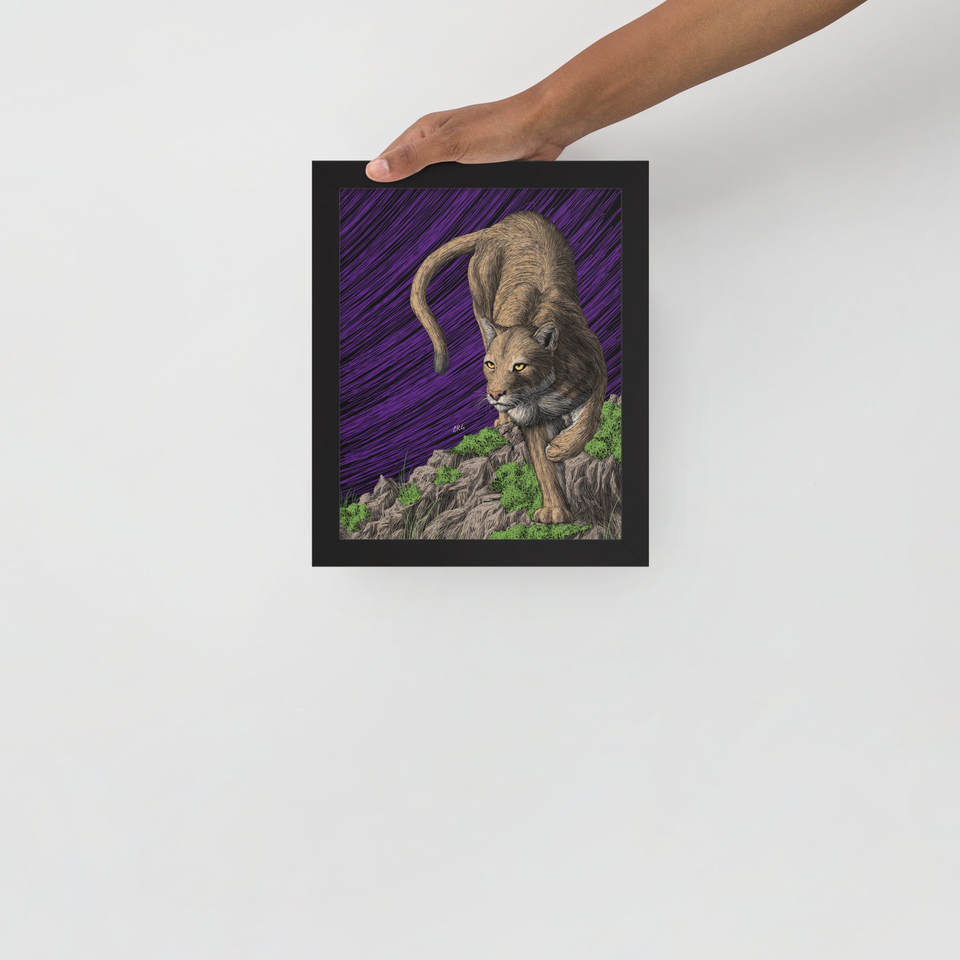 Mountain Lion Art Print