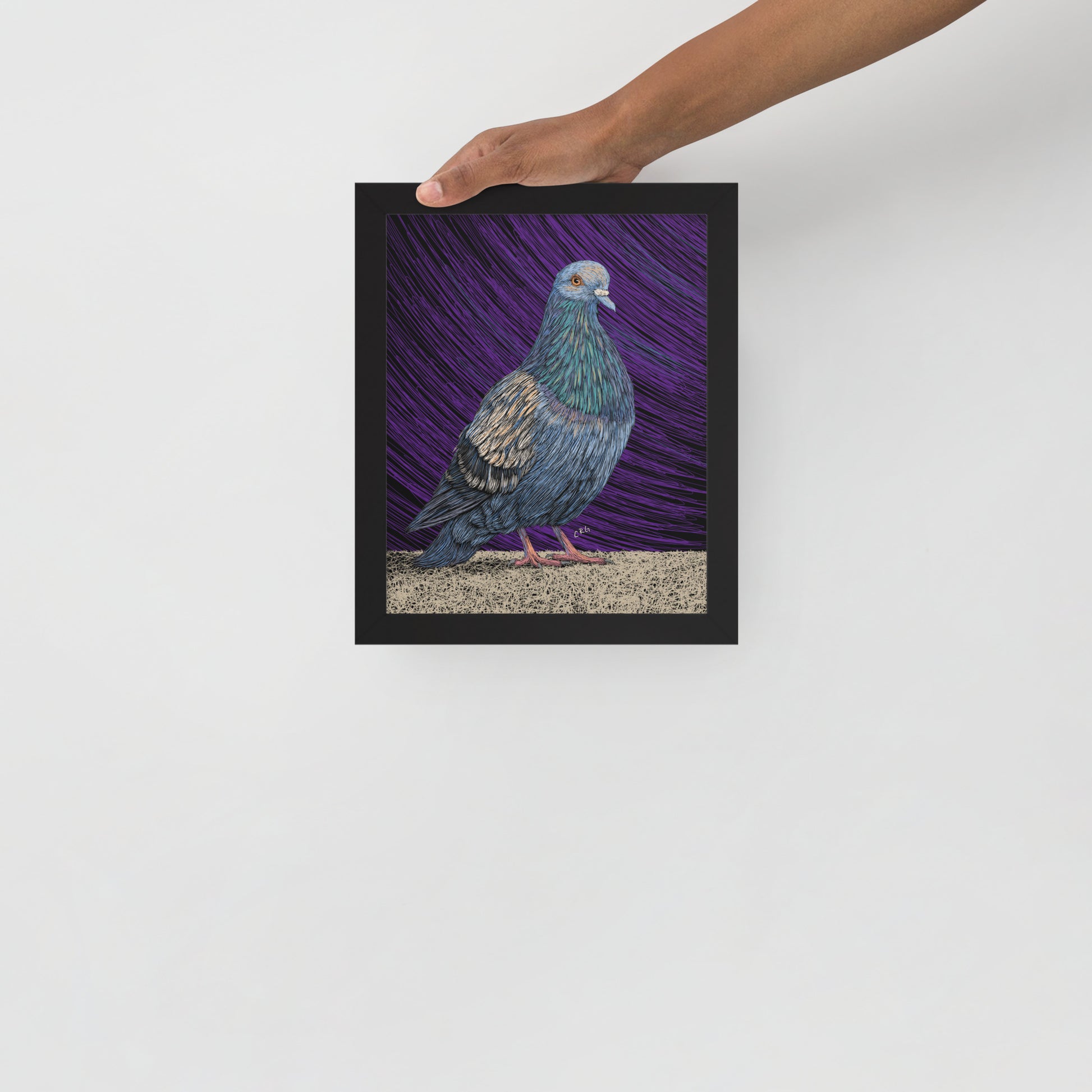 Pigeon Art Print