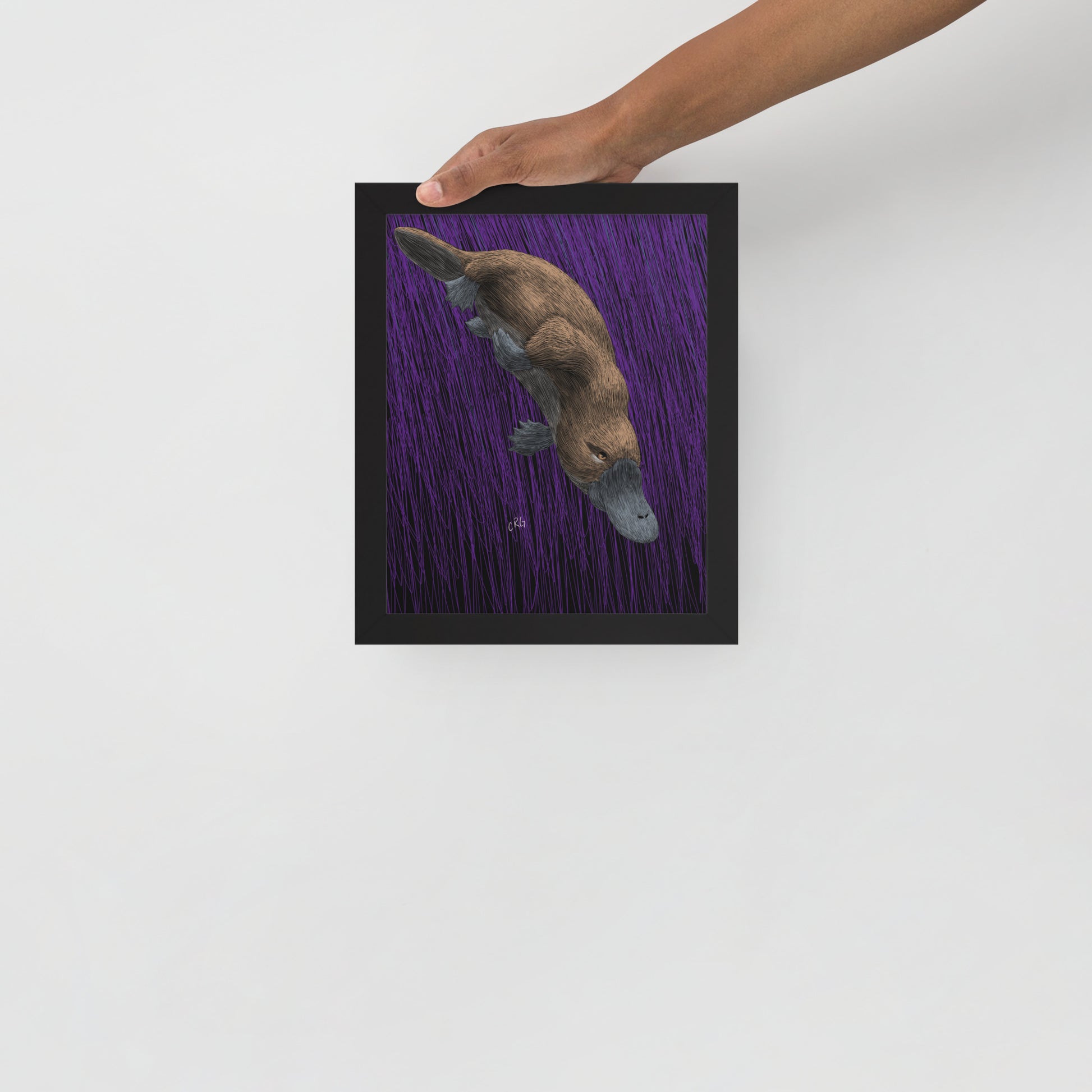 Platypus Art Print