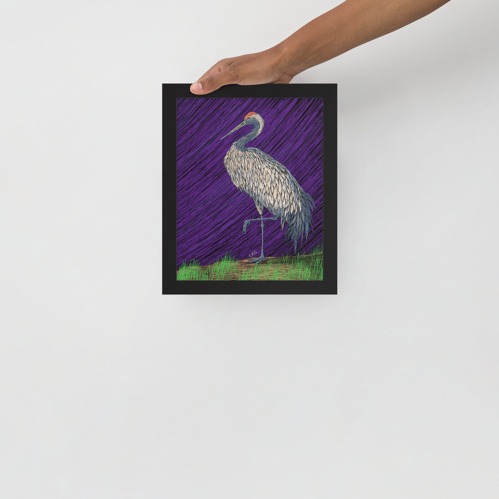 Crane Art Print