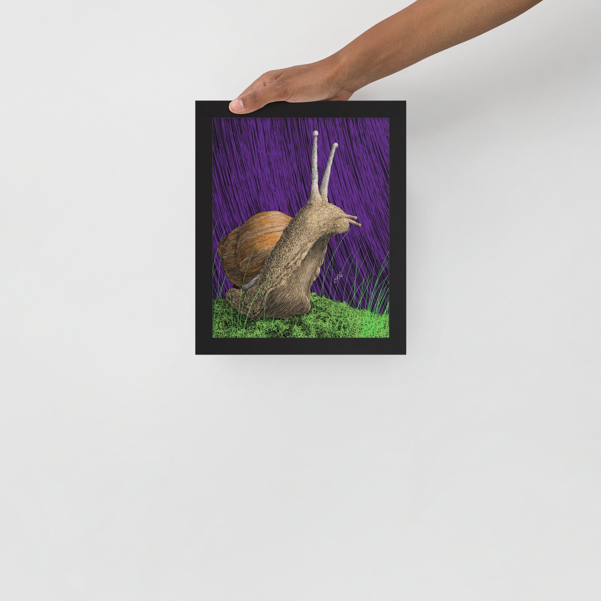 Snail Art Print
