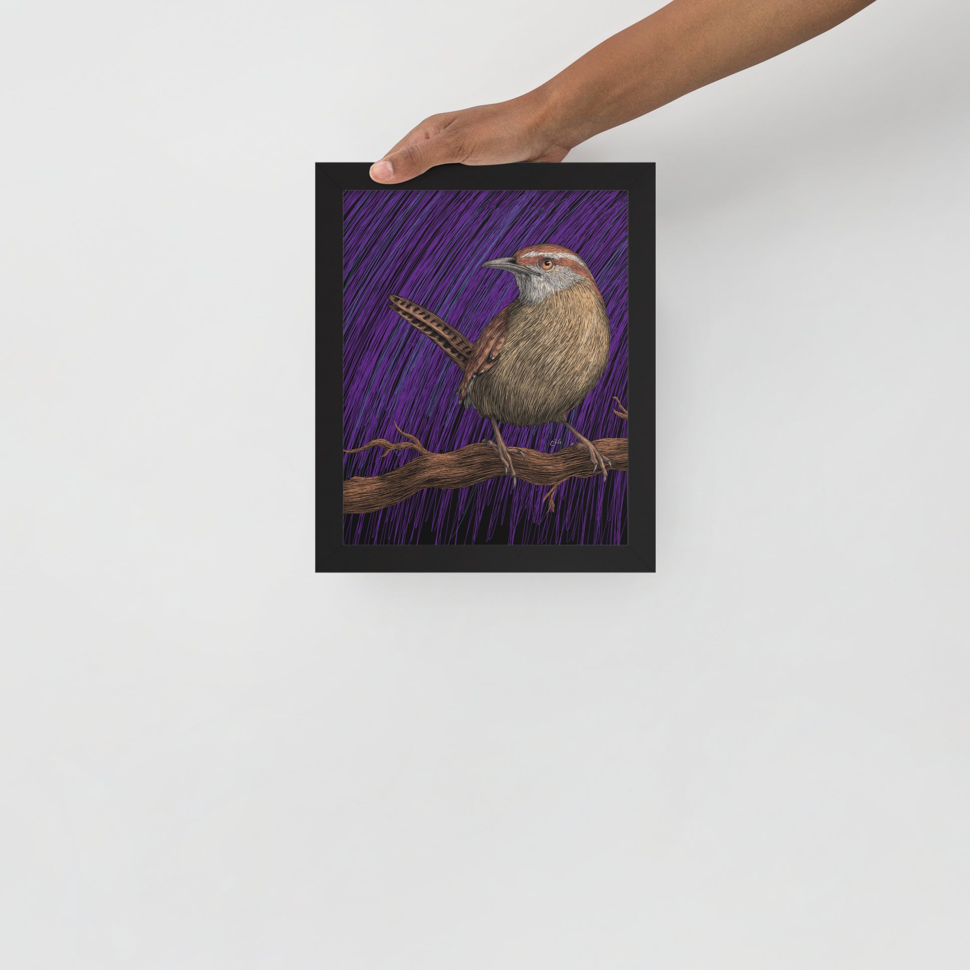 Wren Art Print