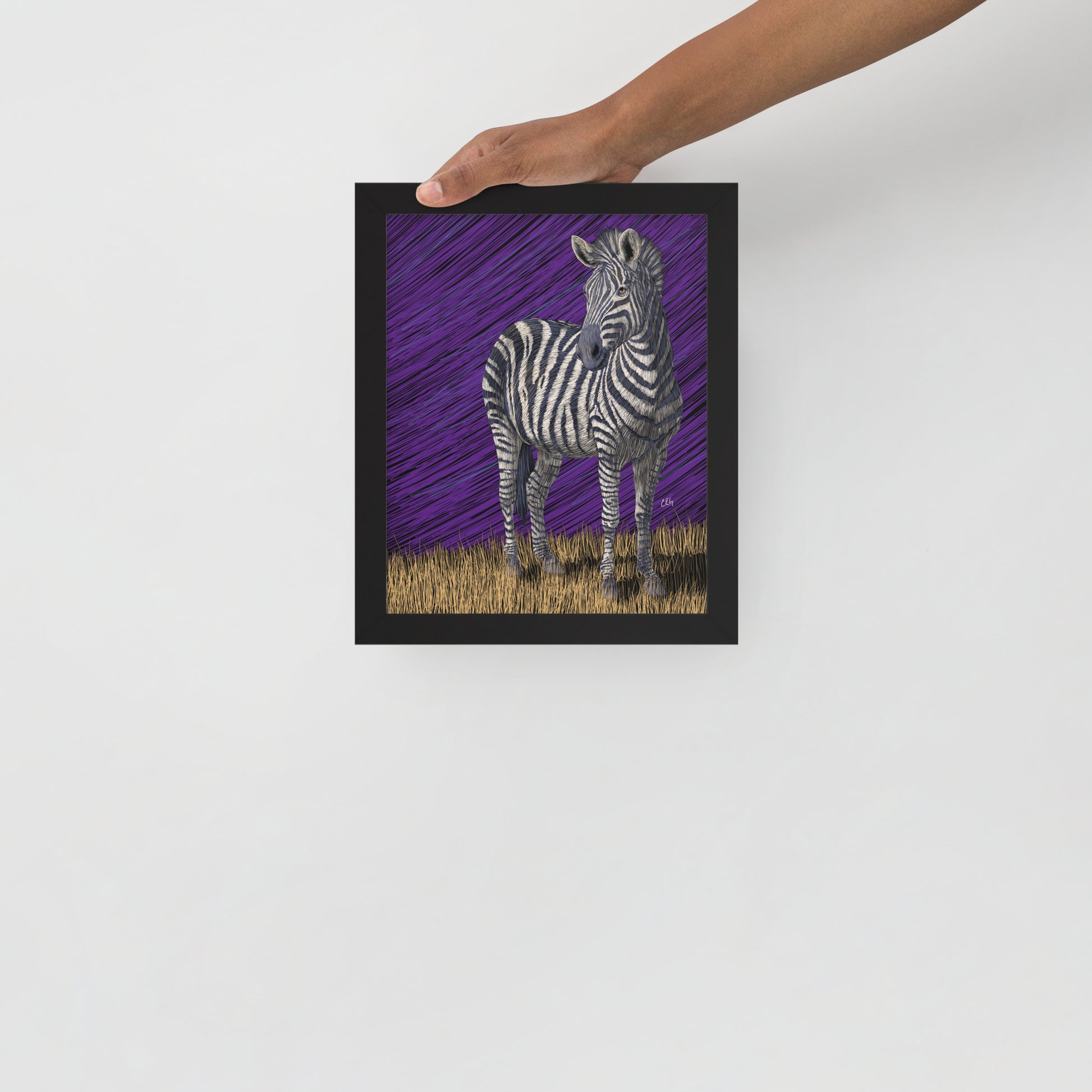 Zebra Art Print