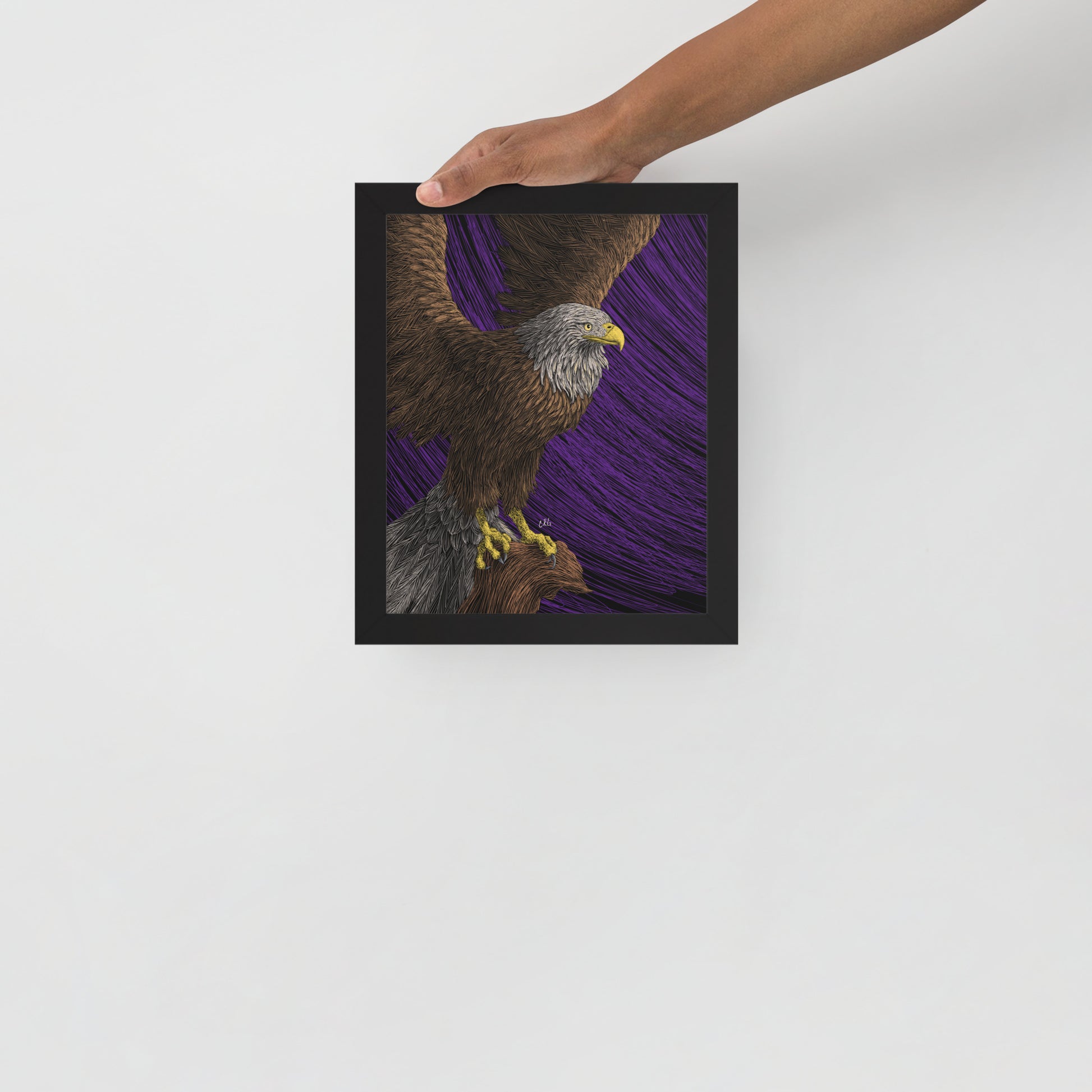 Bald Eagle Art Print