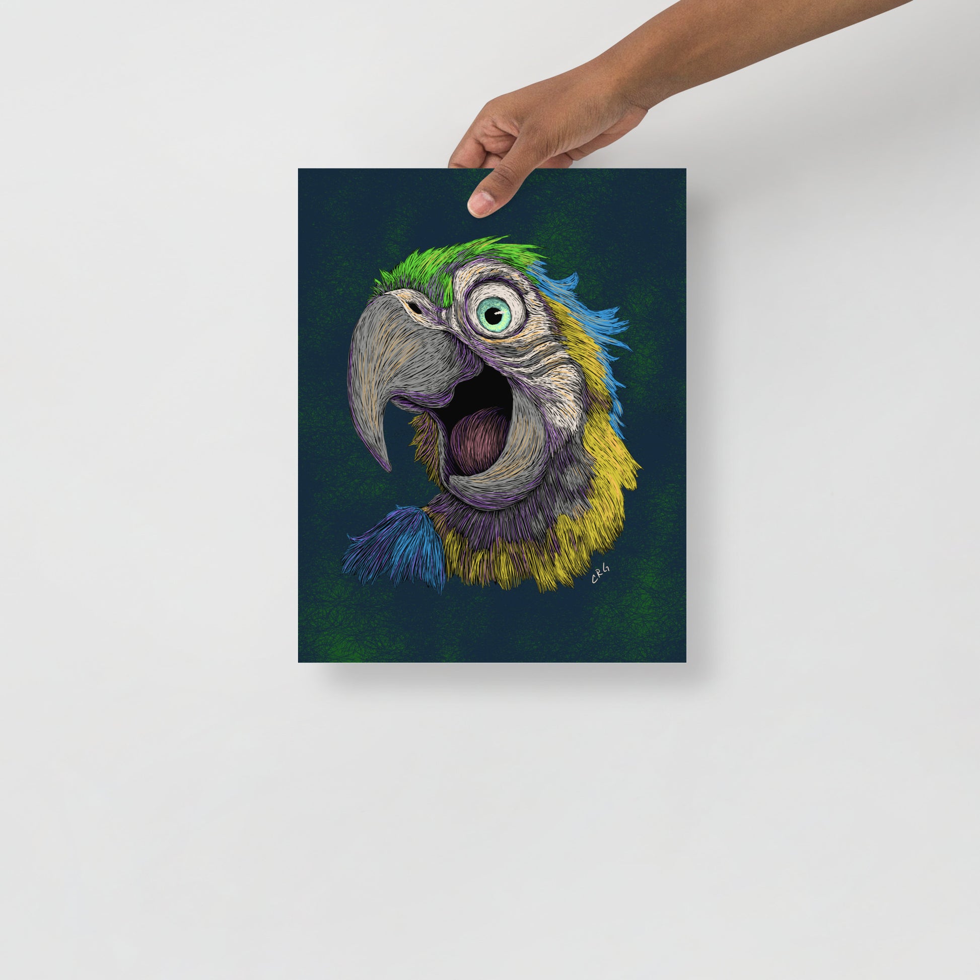 Blue and Gold Macaw Art Print