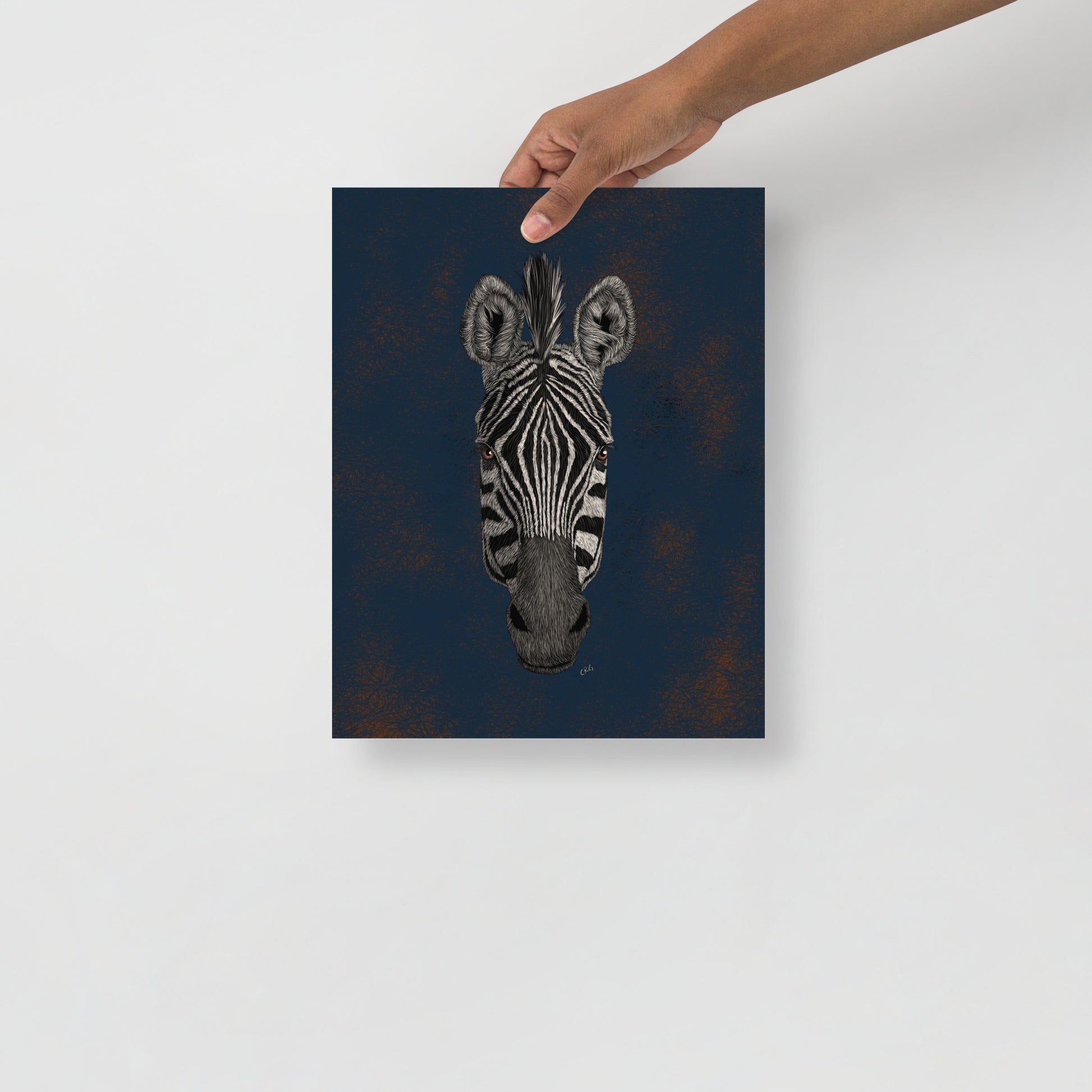 Zebra Art Print
