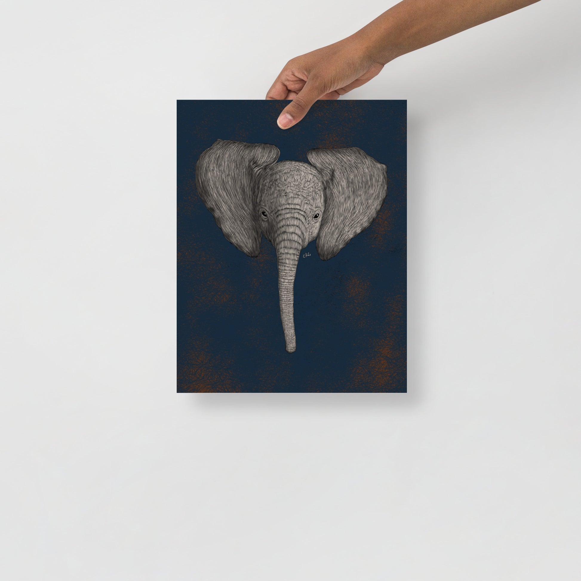 Baby African Elephant Art Print