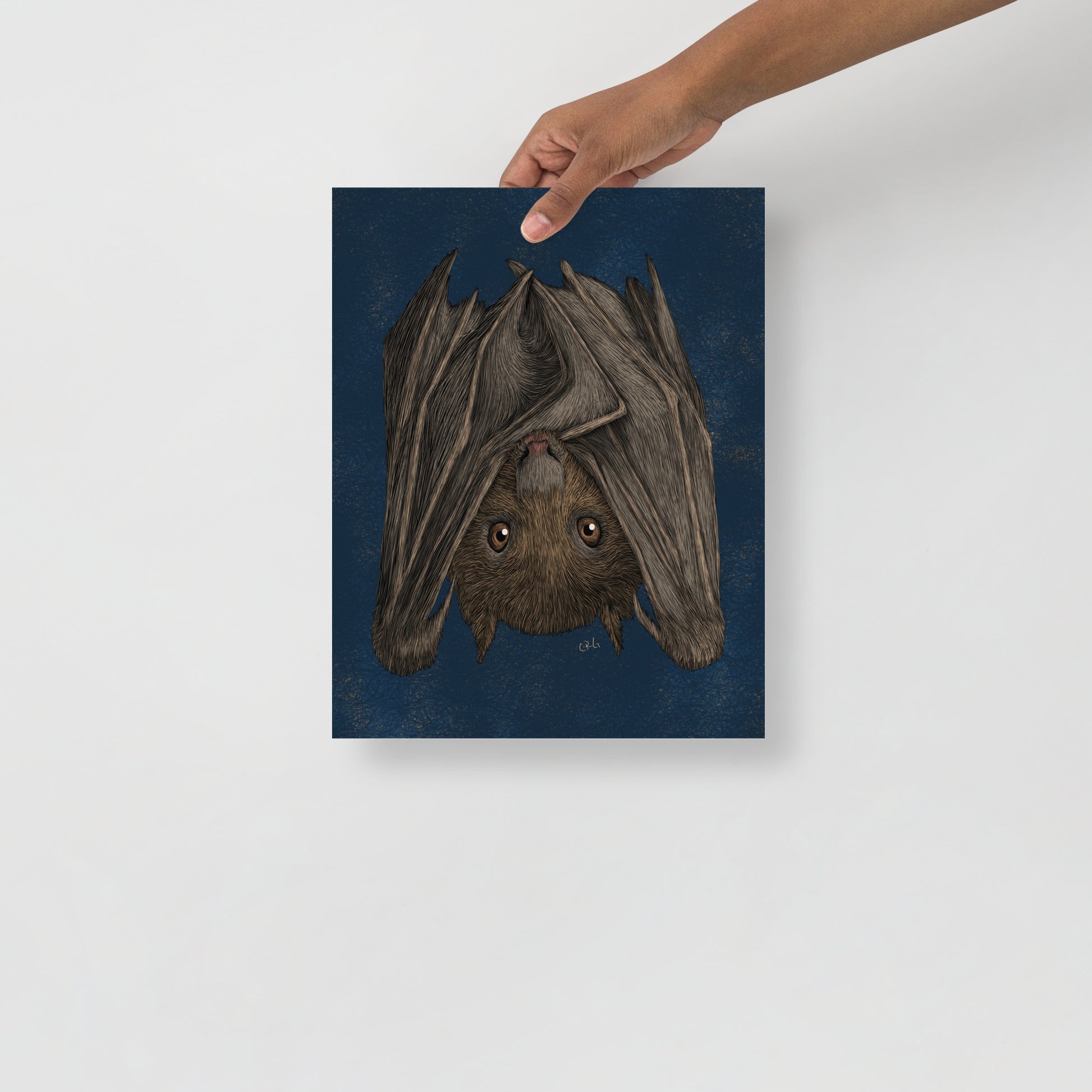Fruit Bat Art Print
