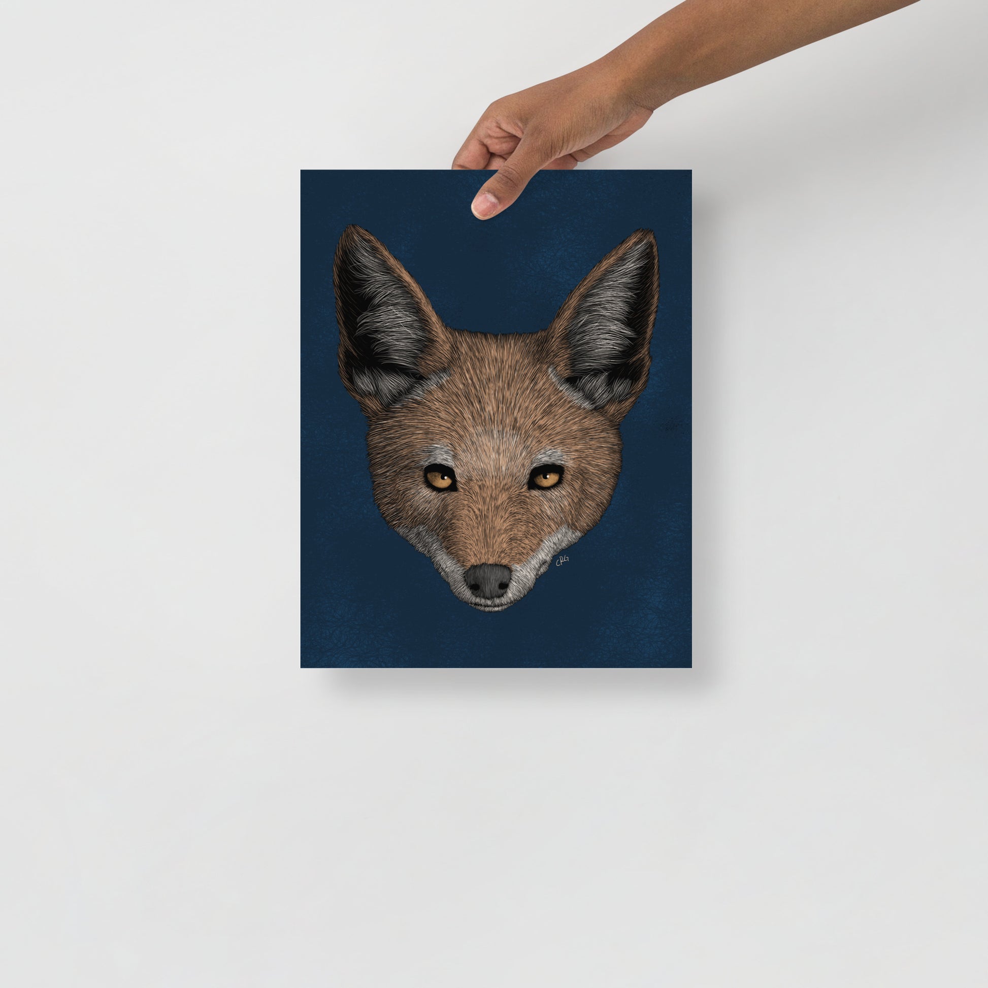 Jackal Art Print