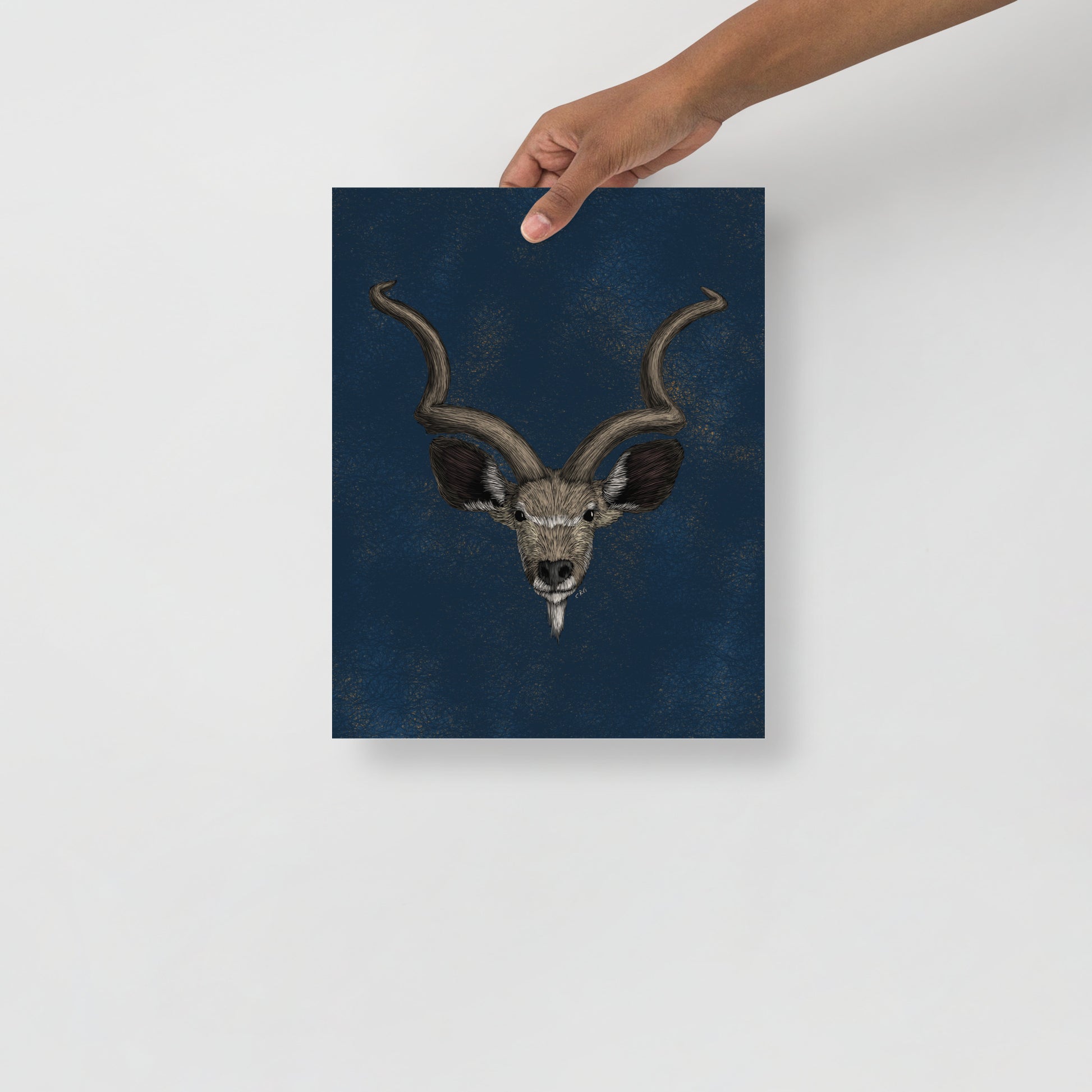 Kudu Art Print