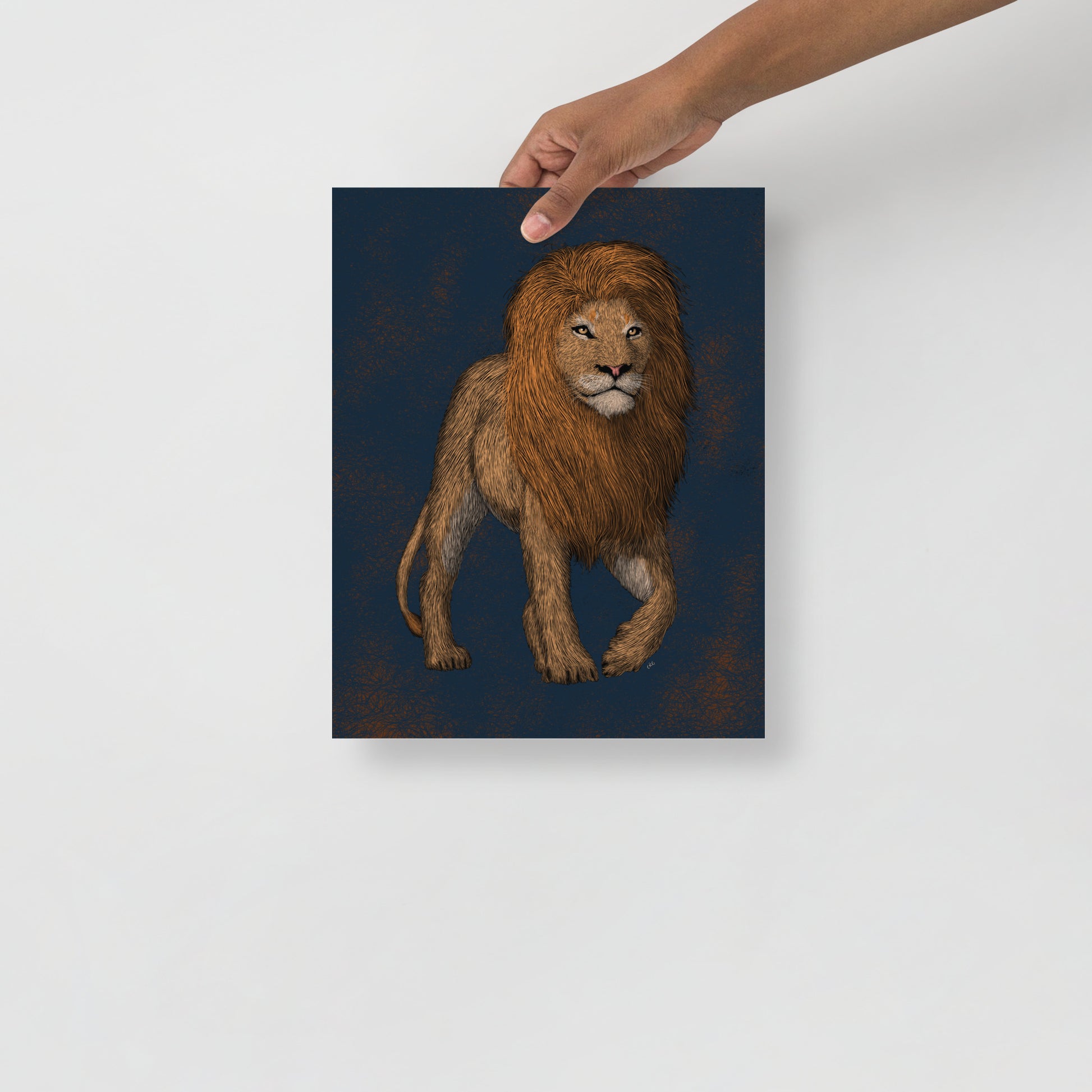 Lion Art Print