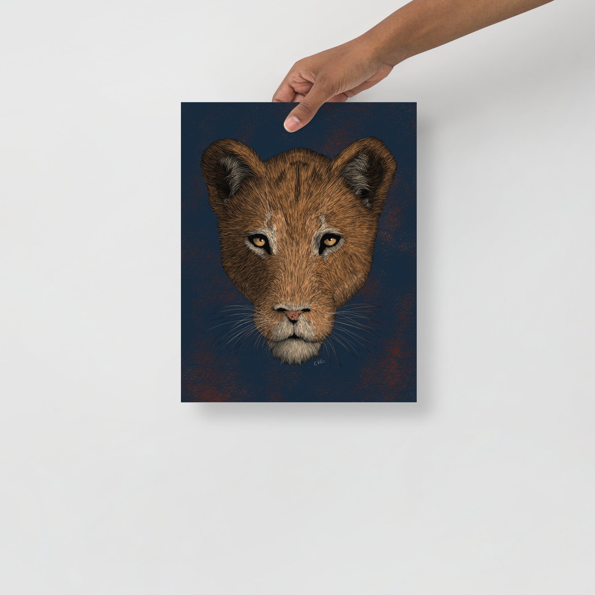 Lioness Art Print
