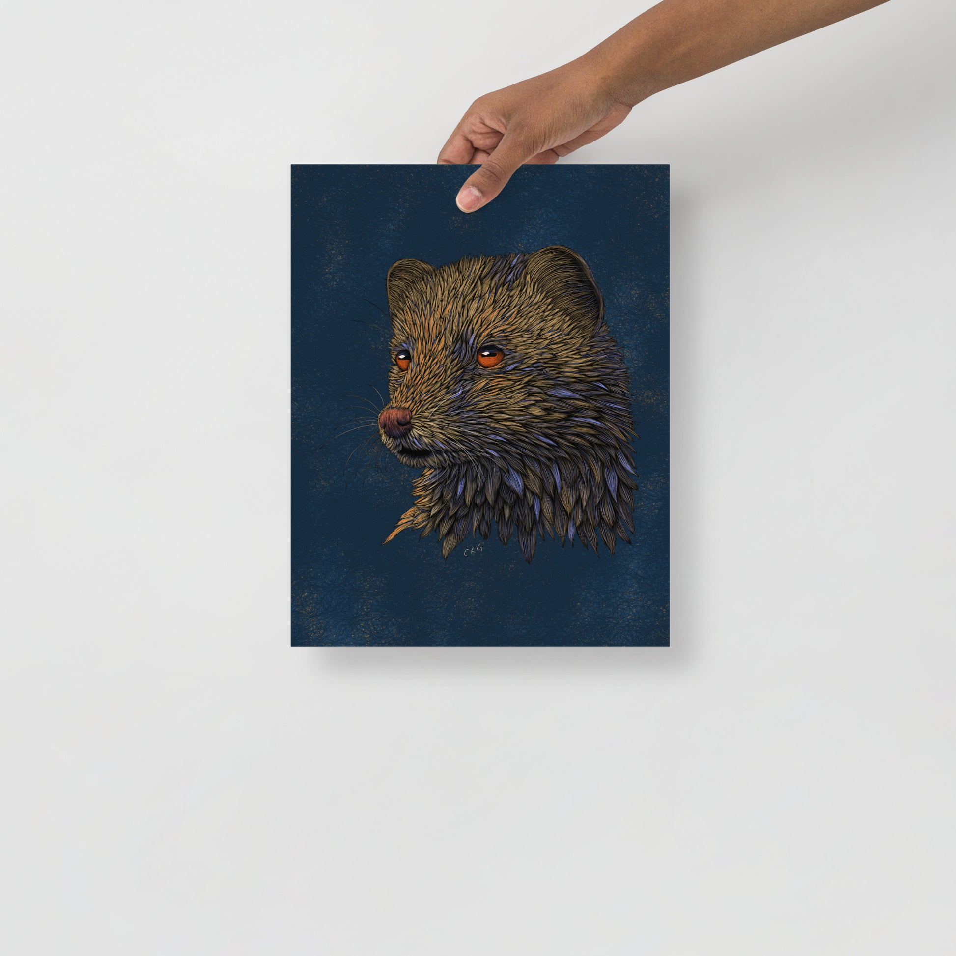 Mongoose Art Print