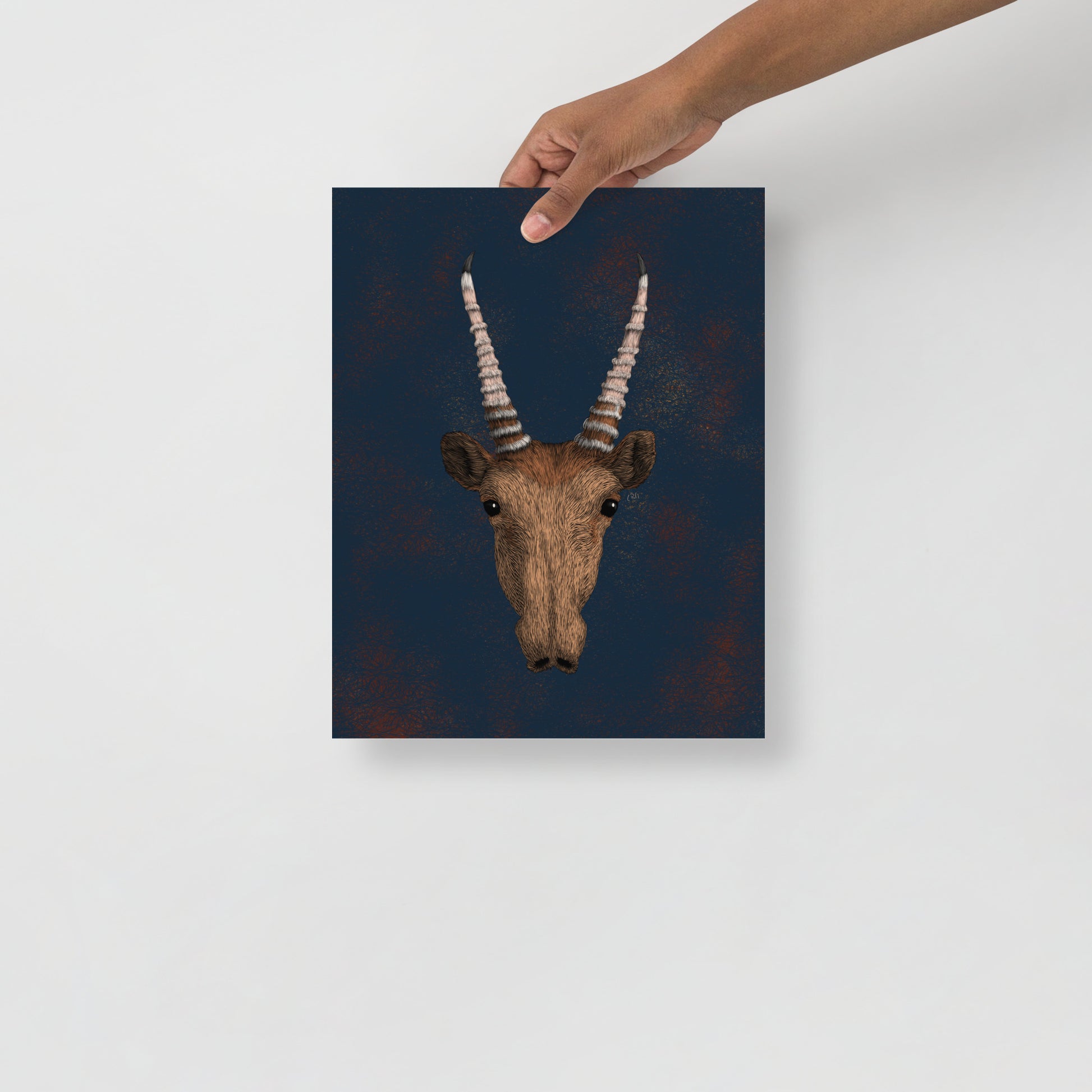 Saiga Antelope Art Print