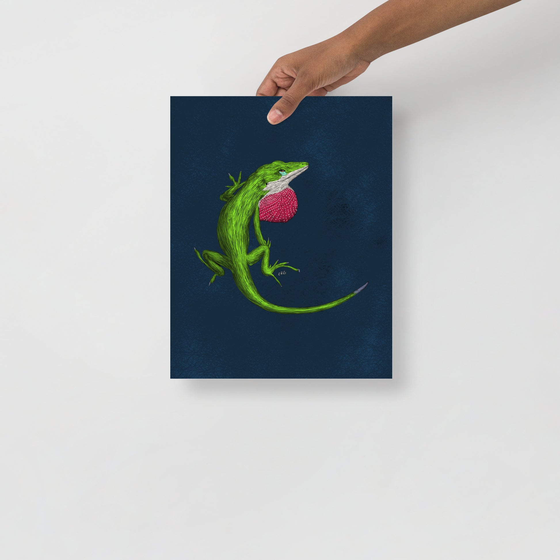 Anole Art Print
