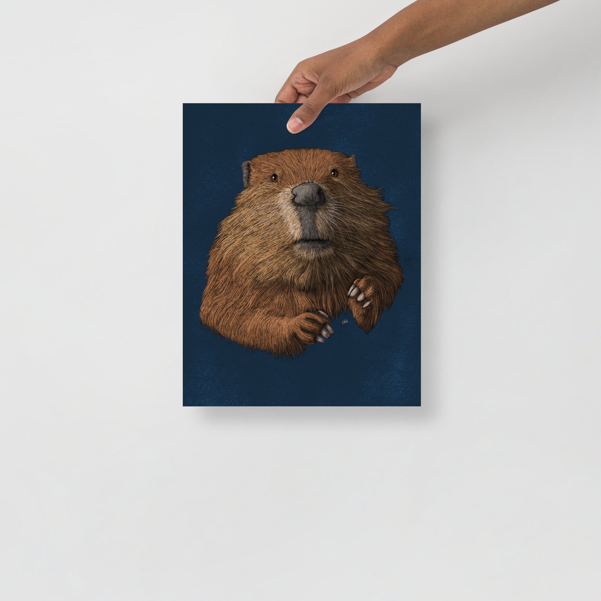 Beaver Art Print