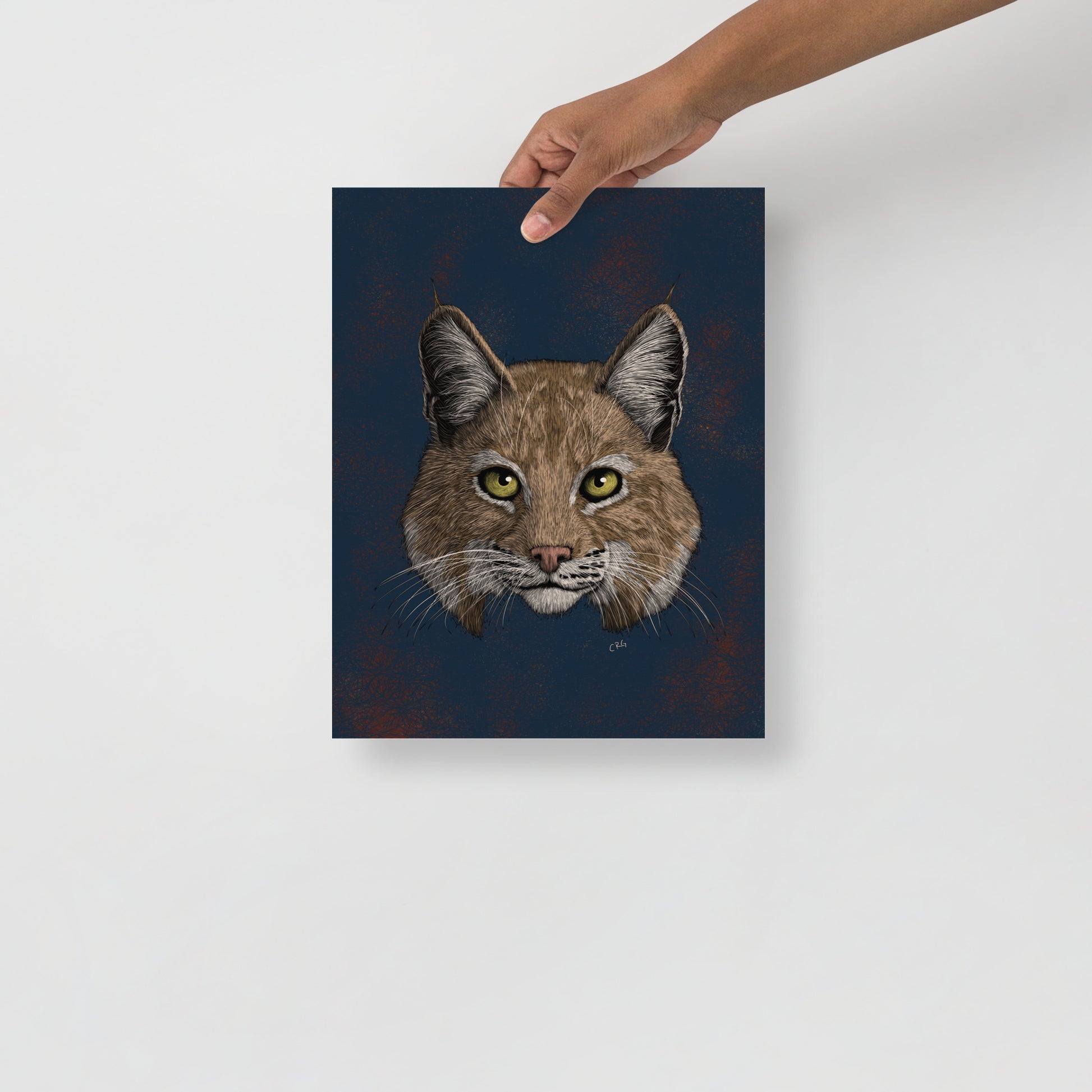 Bobcat Art Print