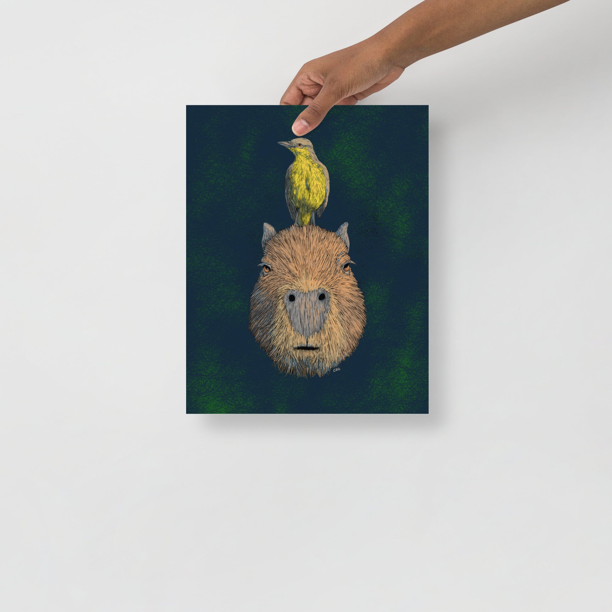 Capybara and Cattle Tyrant Art Print