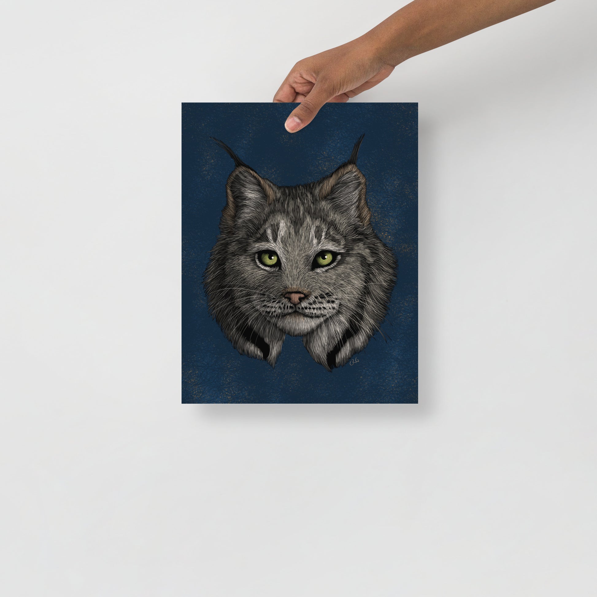 Lynx Art Print
