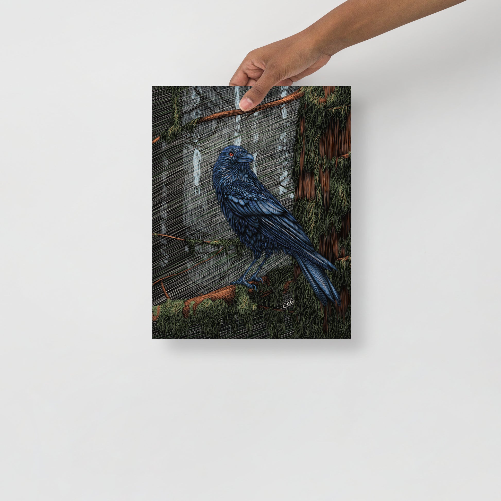 Mysterious Raven Art Print
