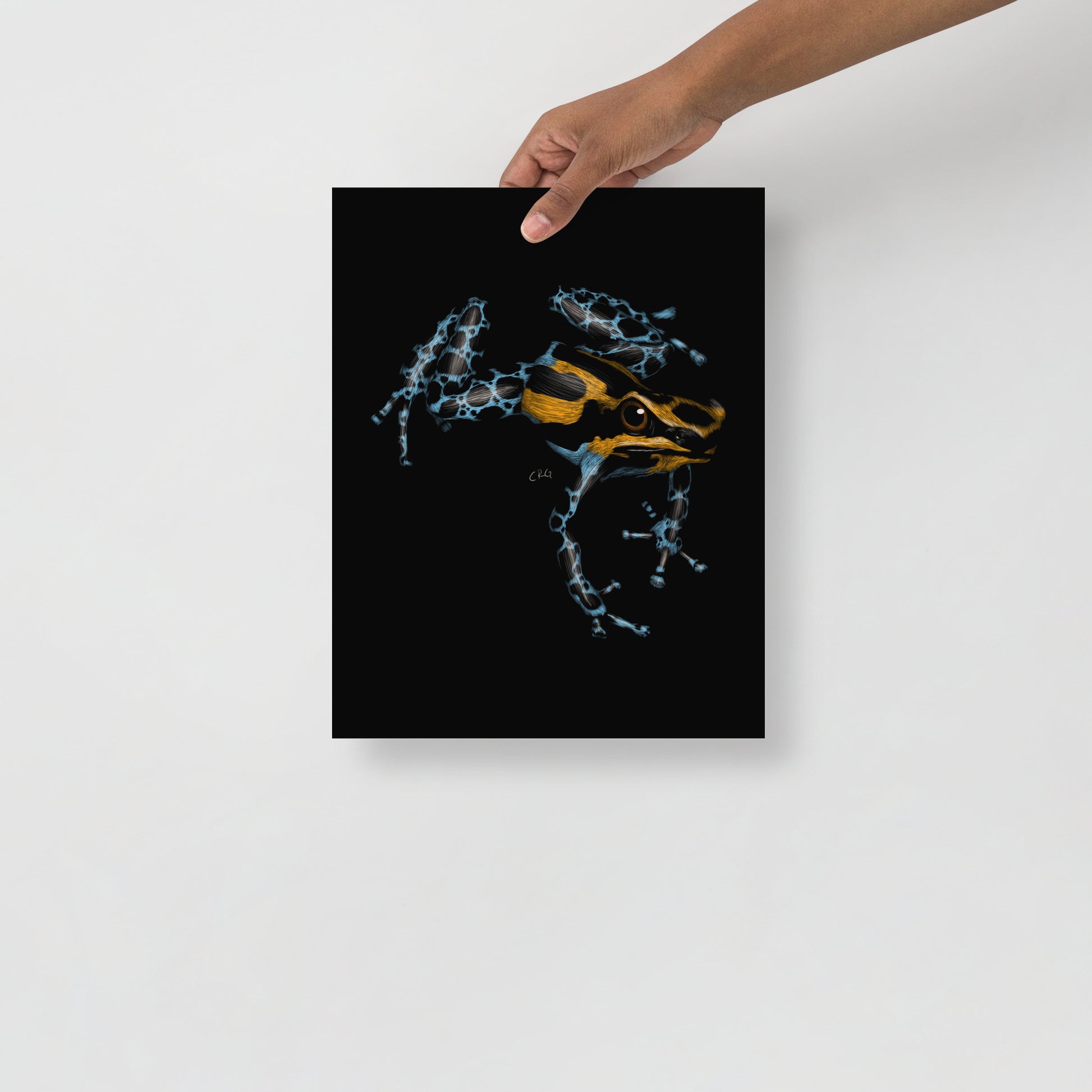 Poison Dart Frog Art Print