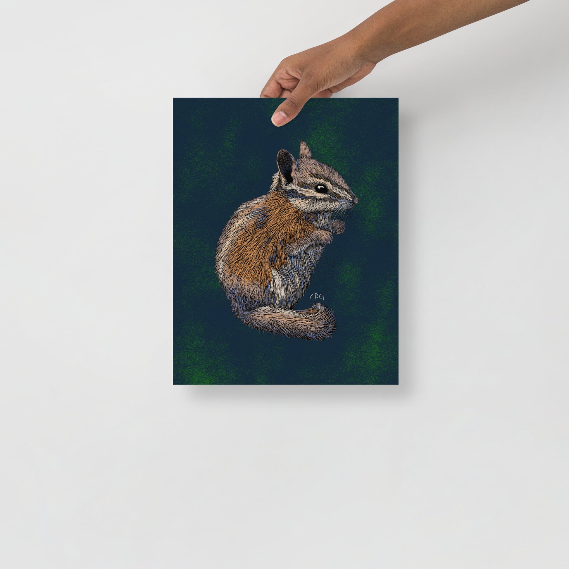 Chipmunk Art Print