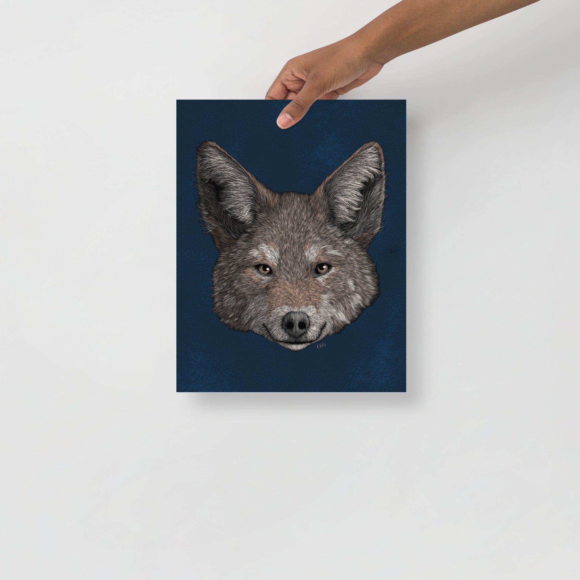 Coyote Art Print