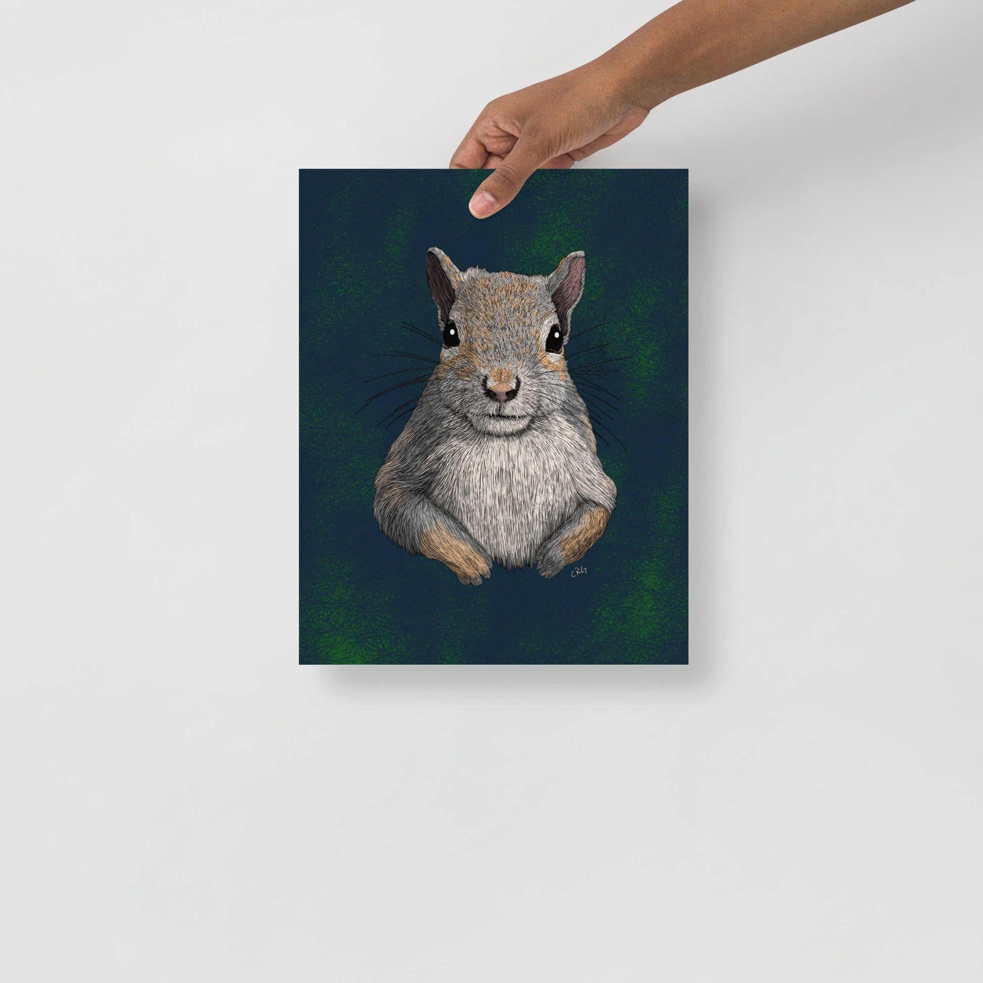 Squirrel Art Print