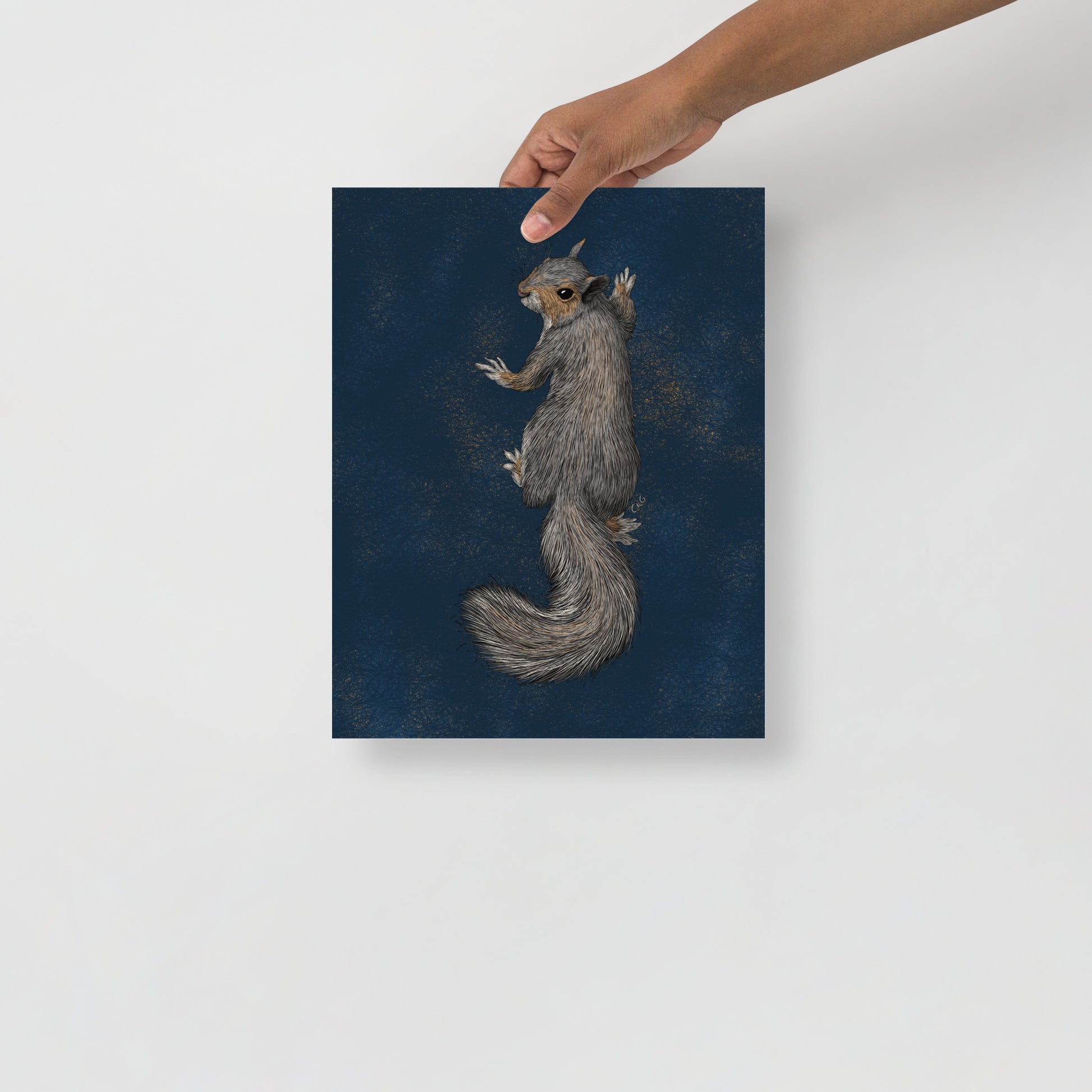 Climbing Squirrel Art Print