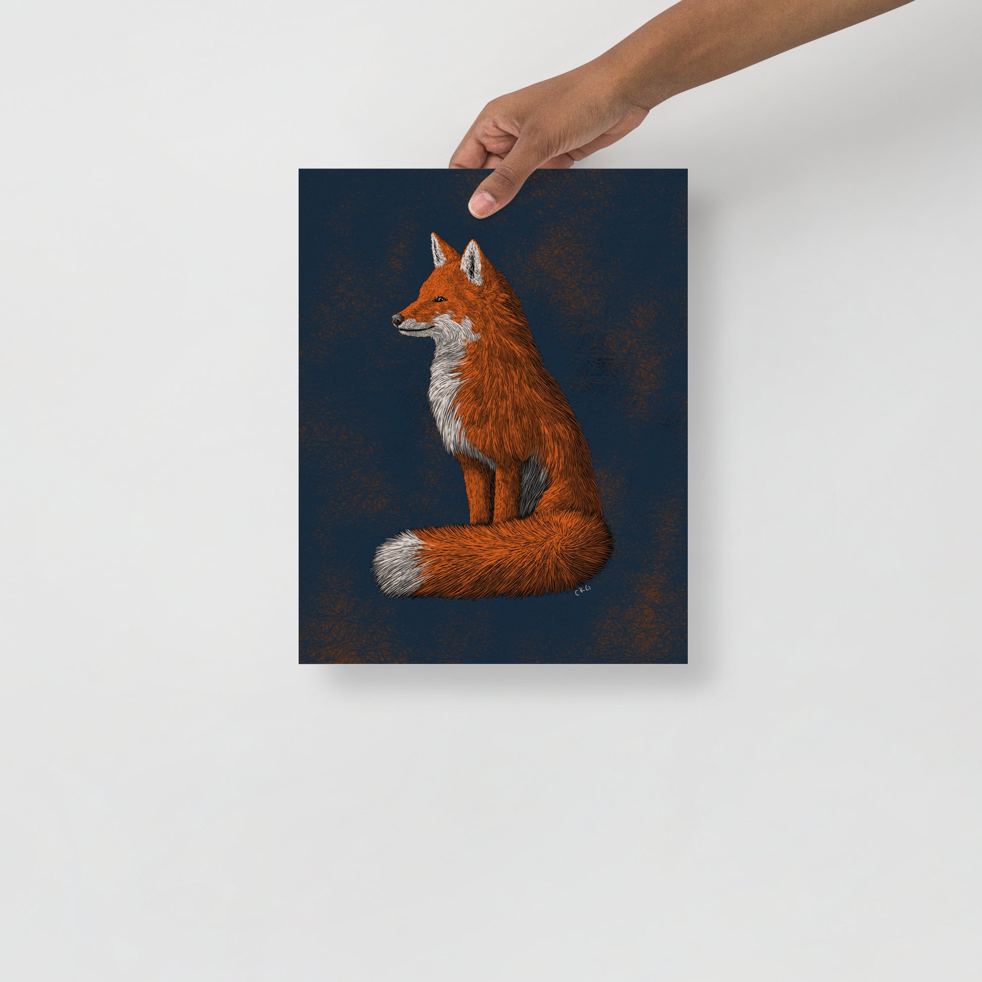 Red Fox Art Print