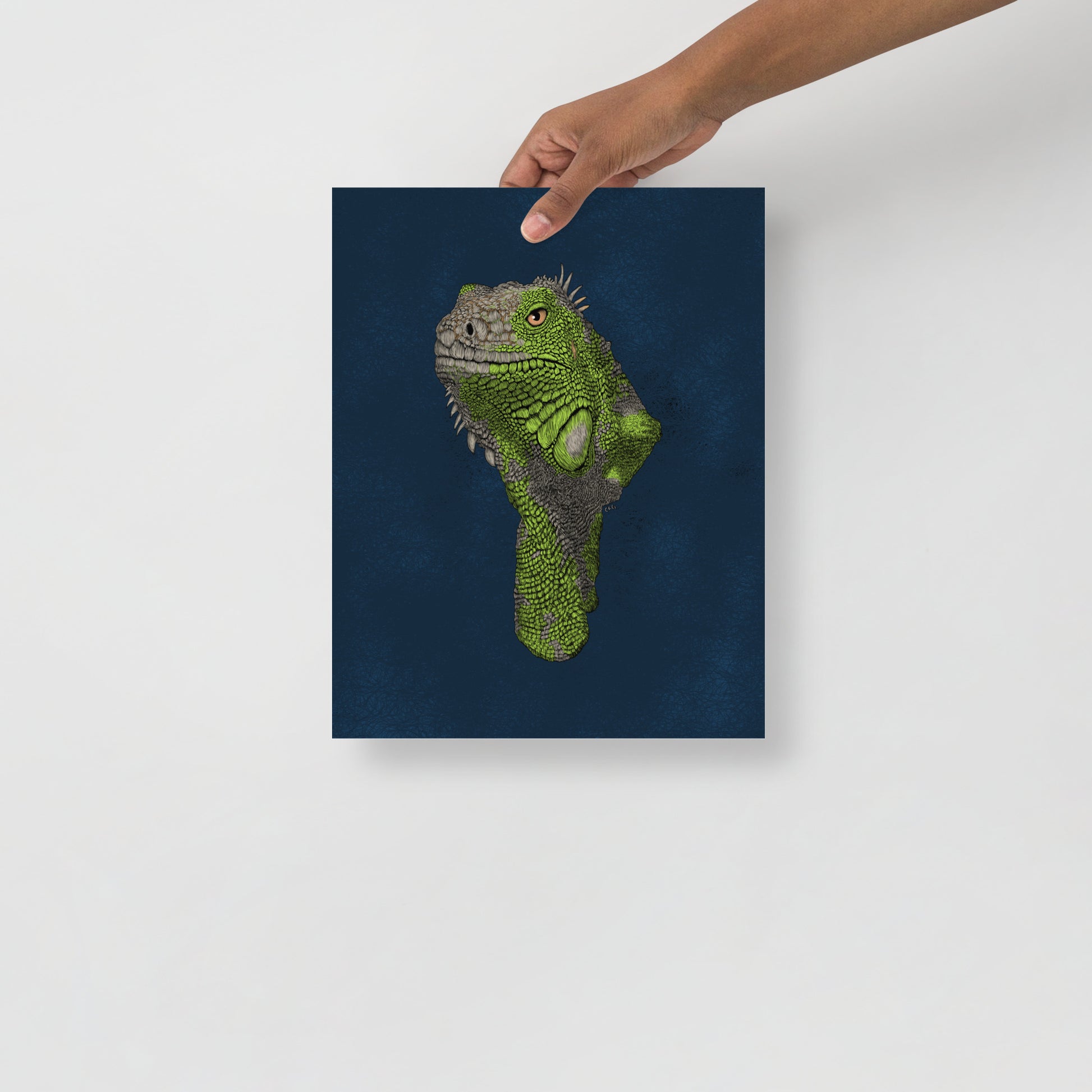 Iguana Art Print
