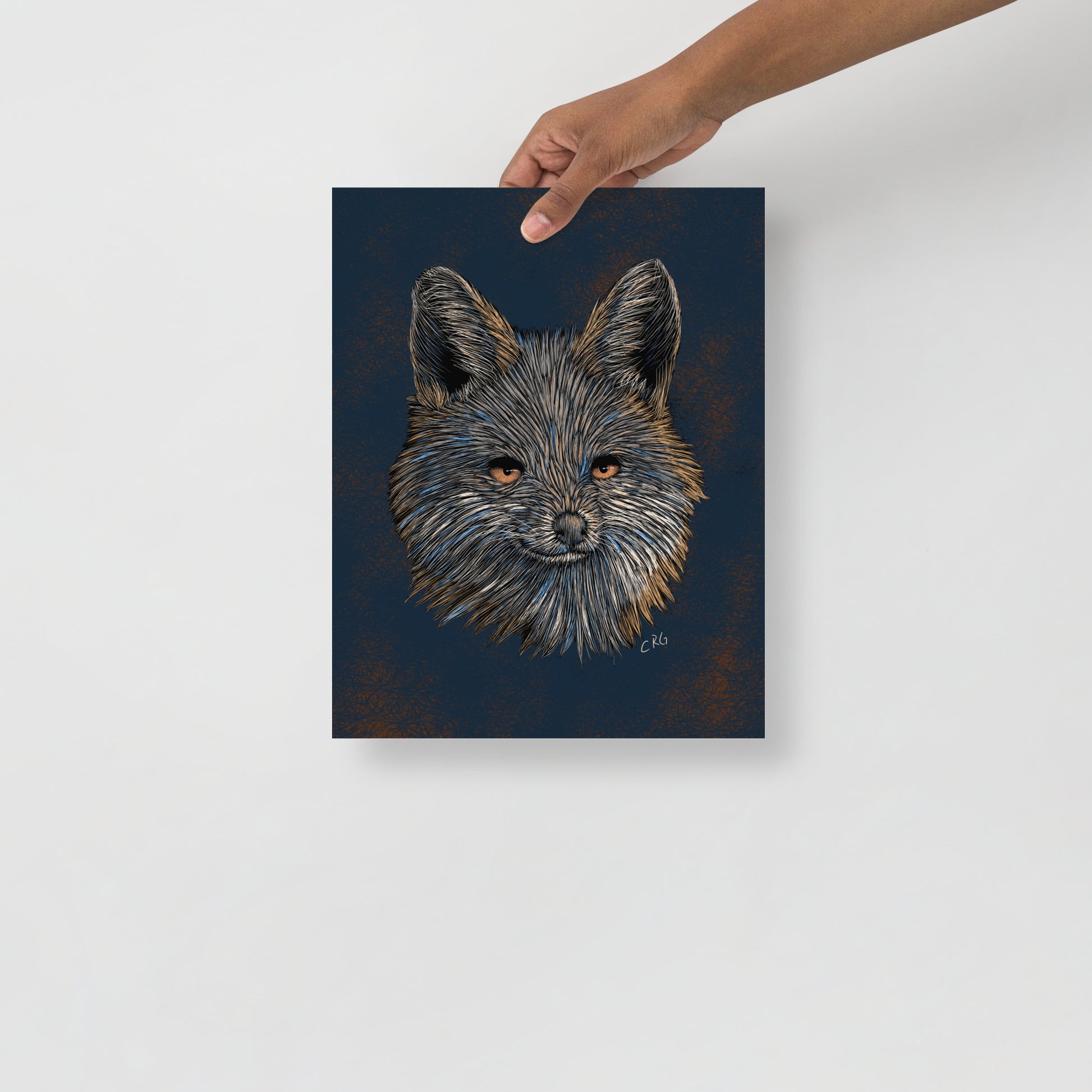 Gray Fox Art Print