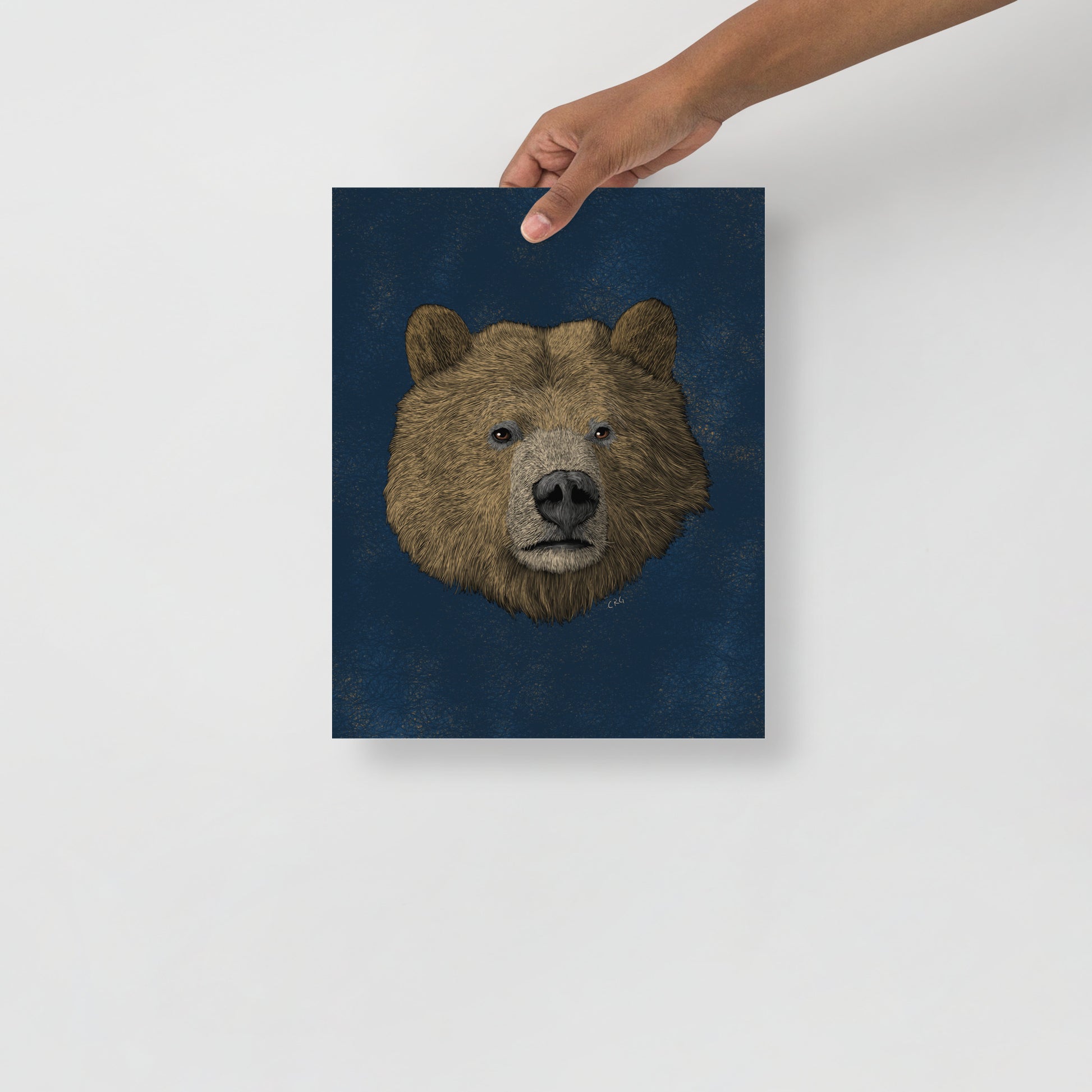 Grizzly Bear Art Print