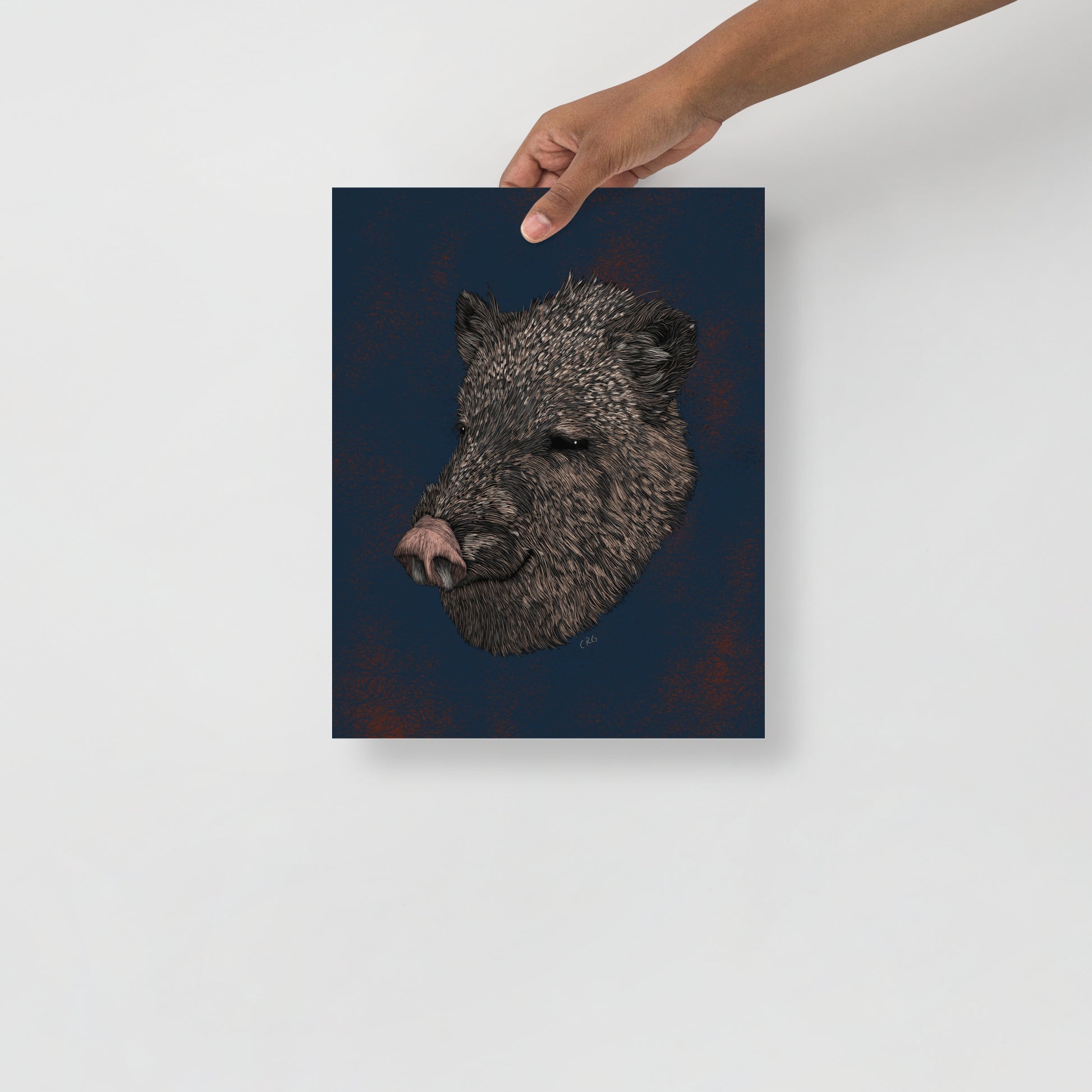 Javelina Art Print