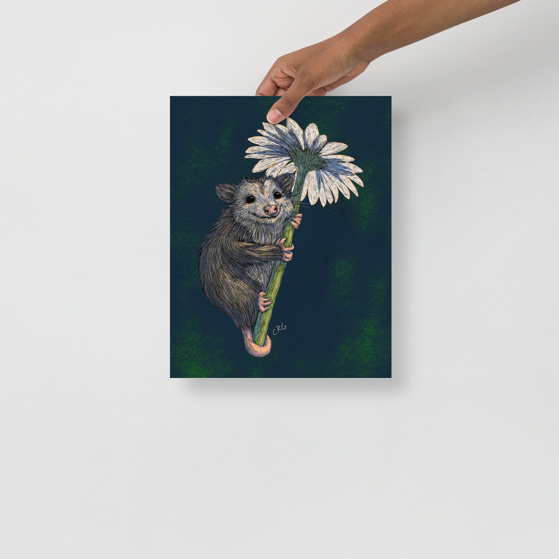 Opossum Hugging Daisy Art Print