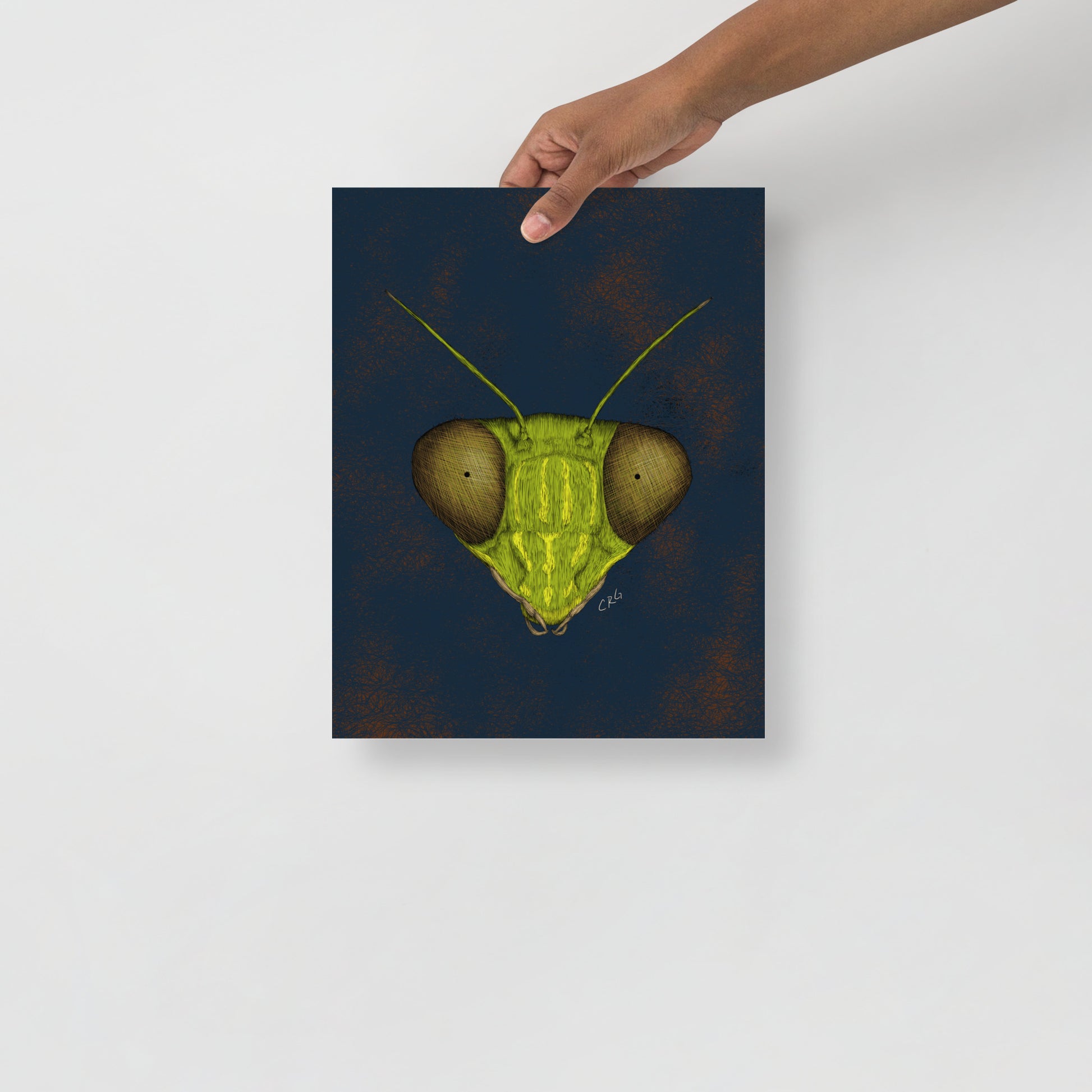 Praying Mantis Art Print