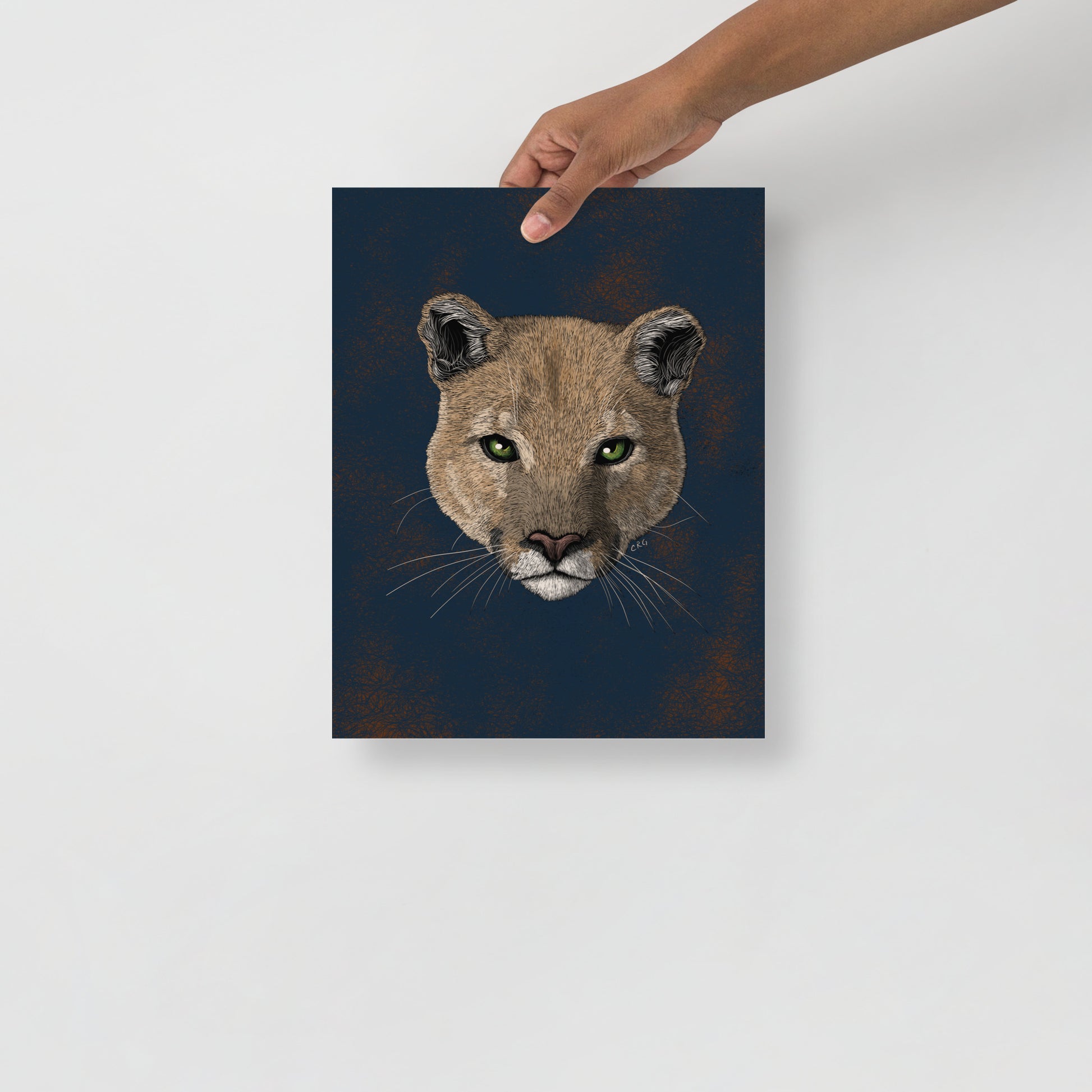 Mountain Lion Art Print