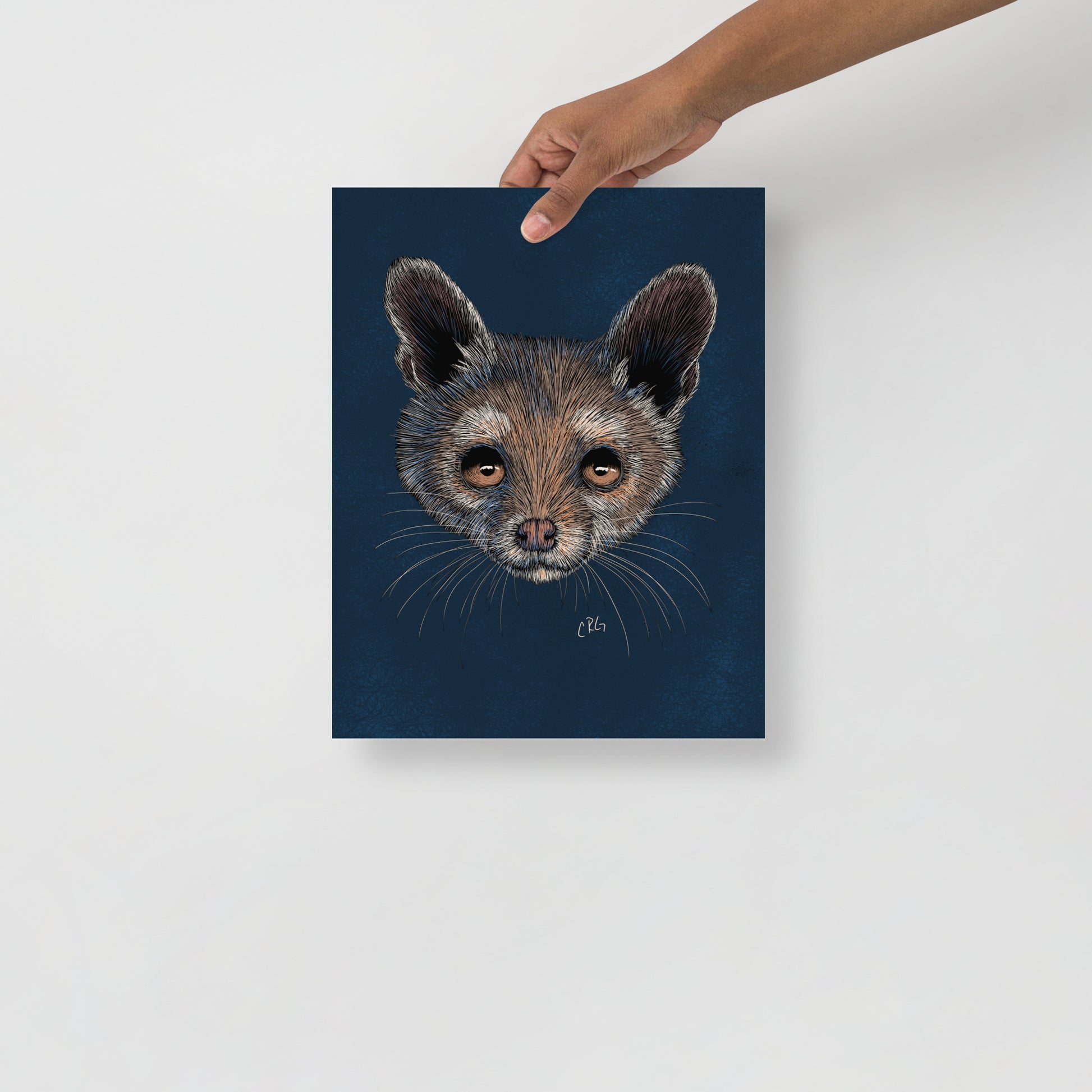 Ringtail Cat Art Print