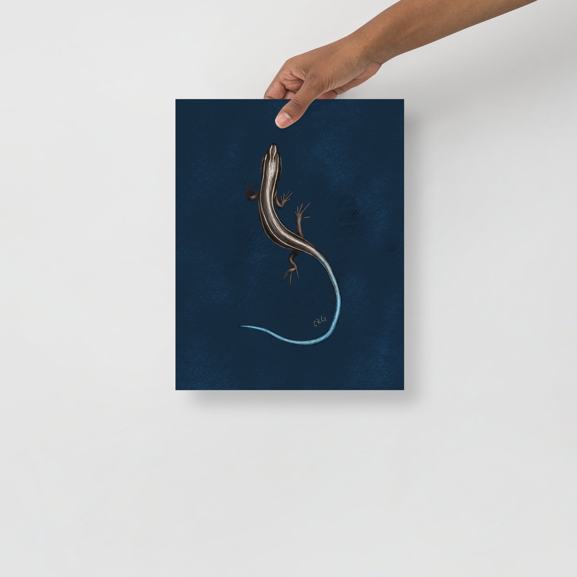 Skink Art Print