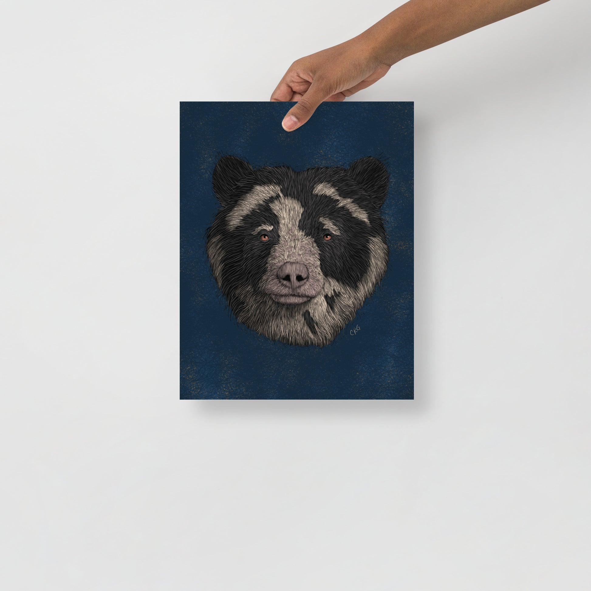 Spectacled Bear Art Print