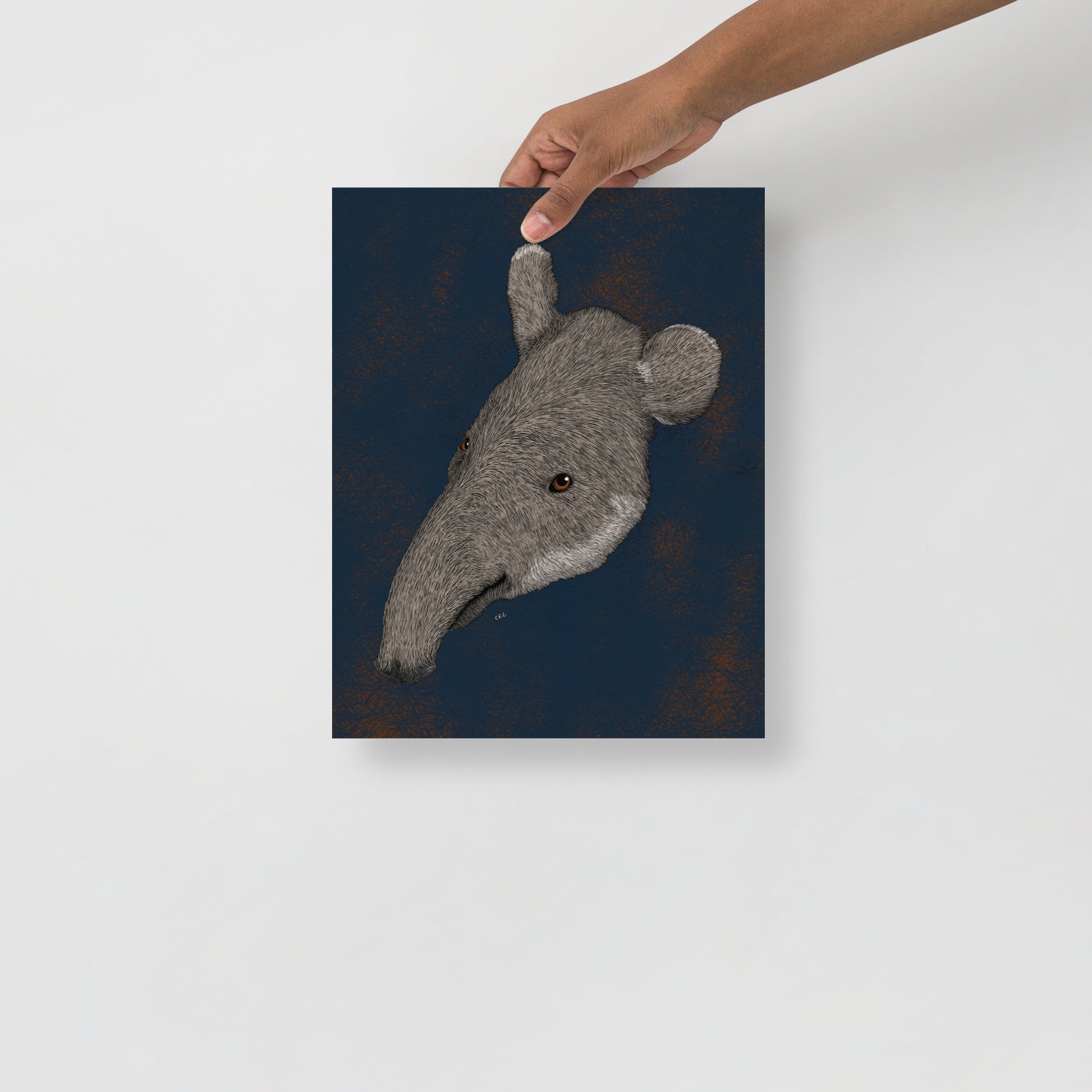Tapir Art Print