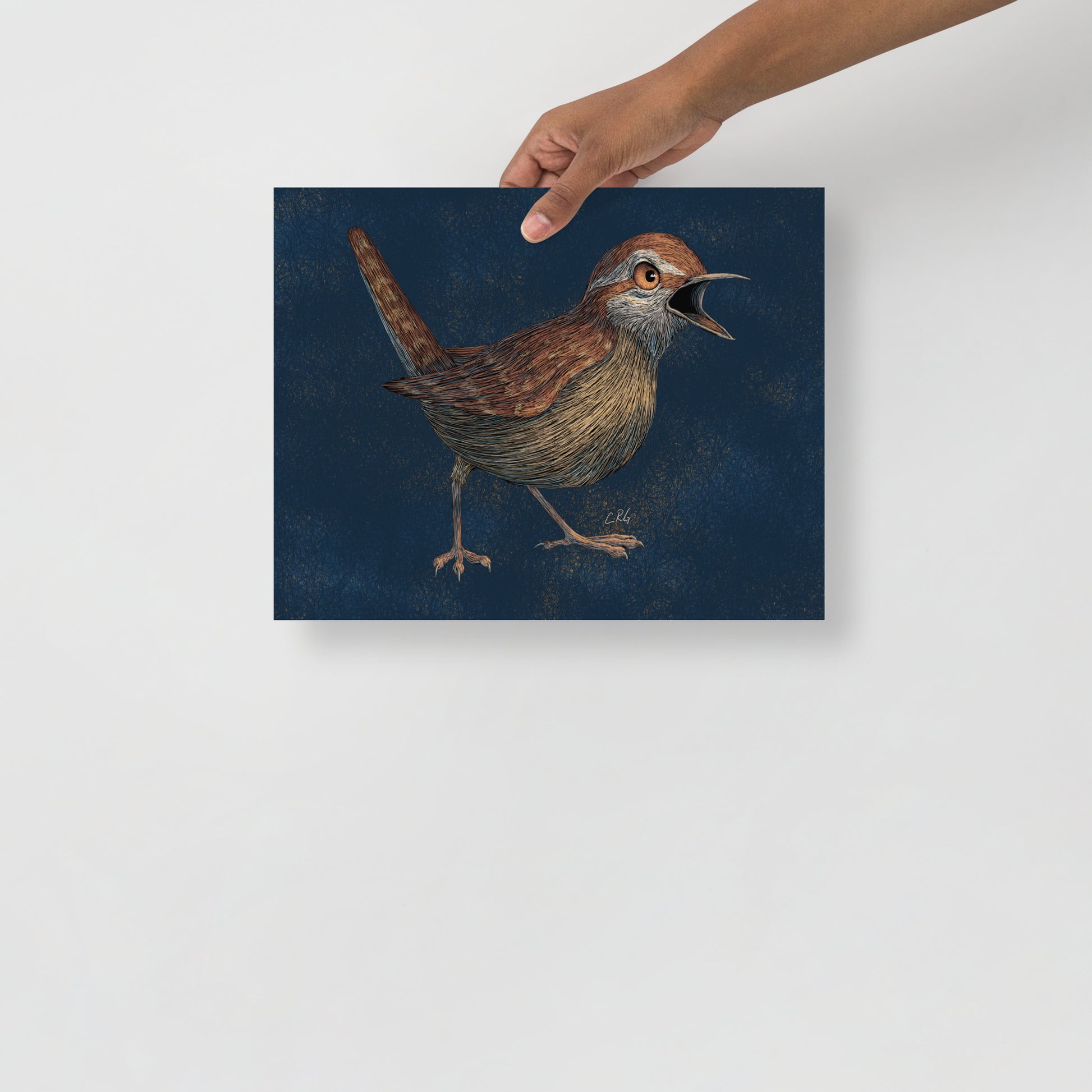 Angry Wren Art Print