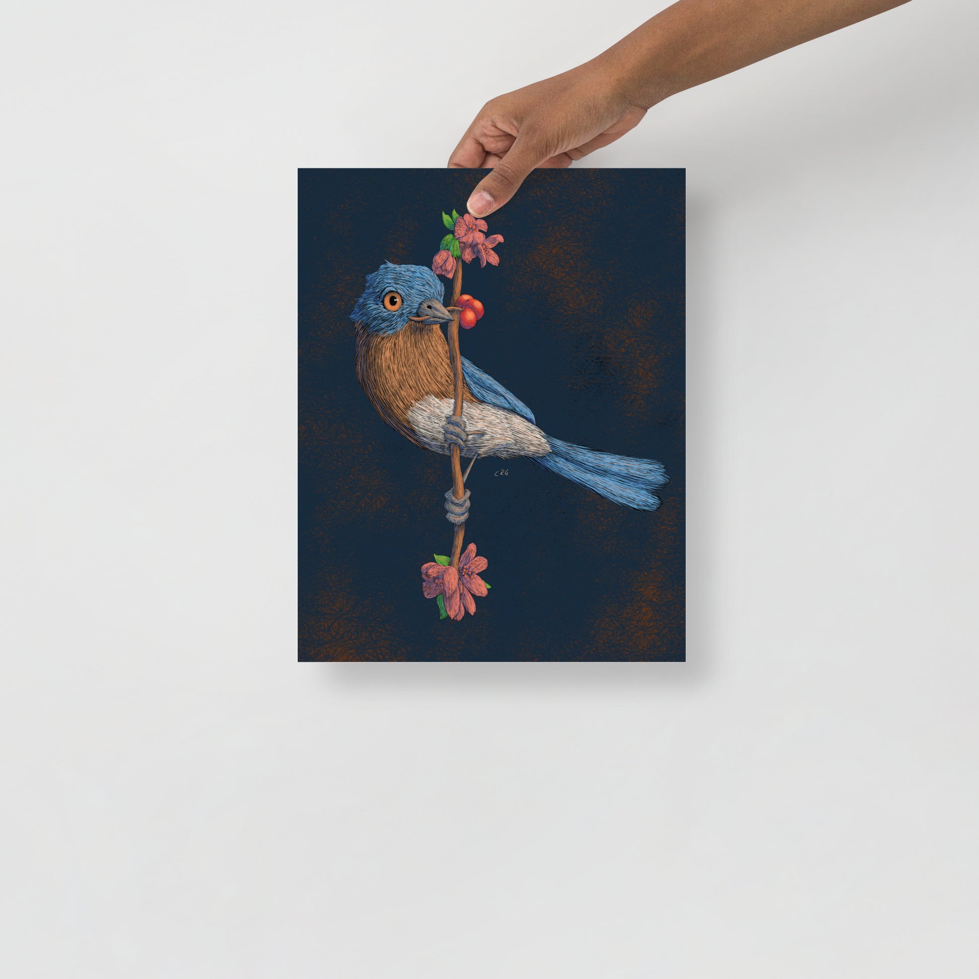Bluebird Art Print