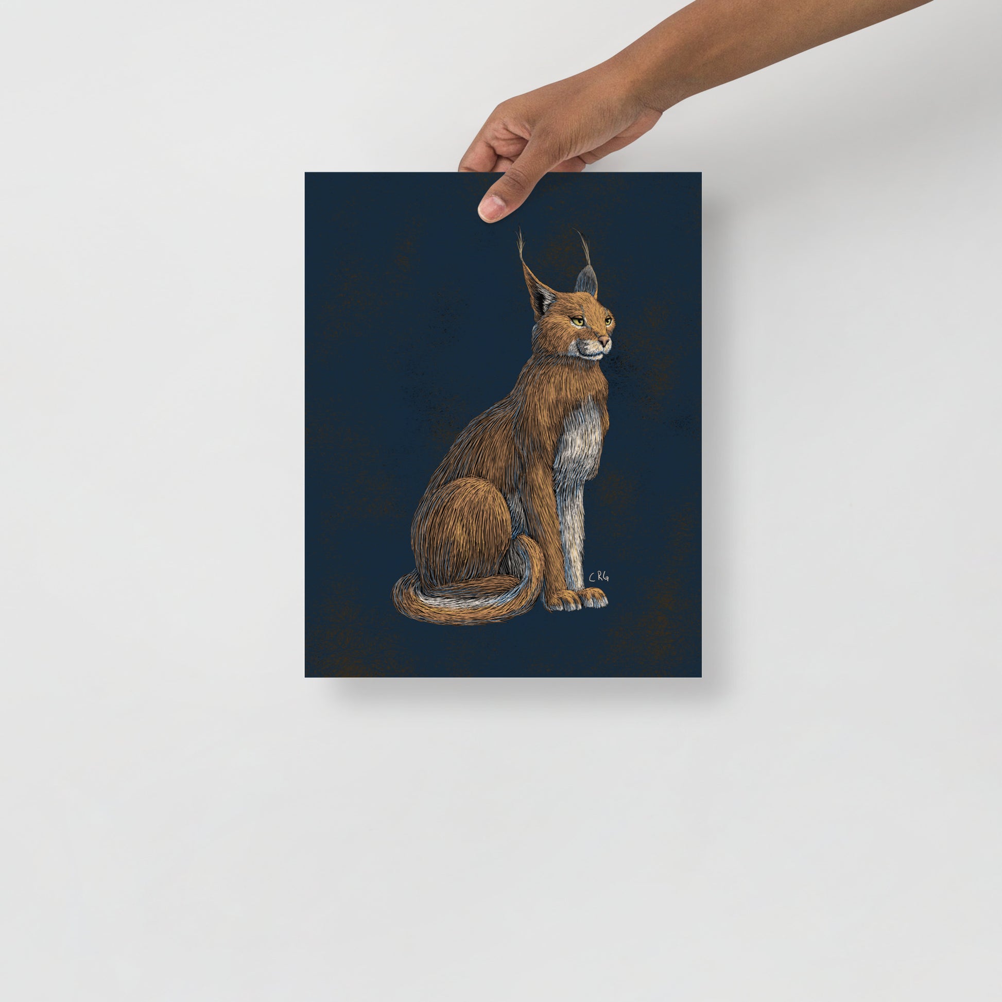 Regal Caracal Art Print