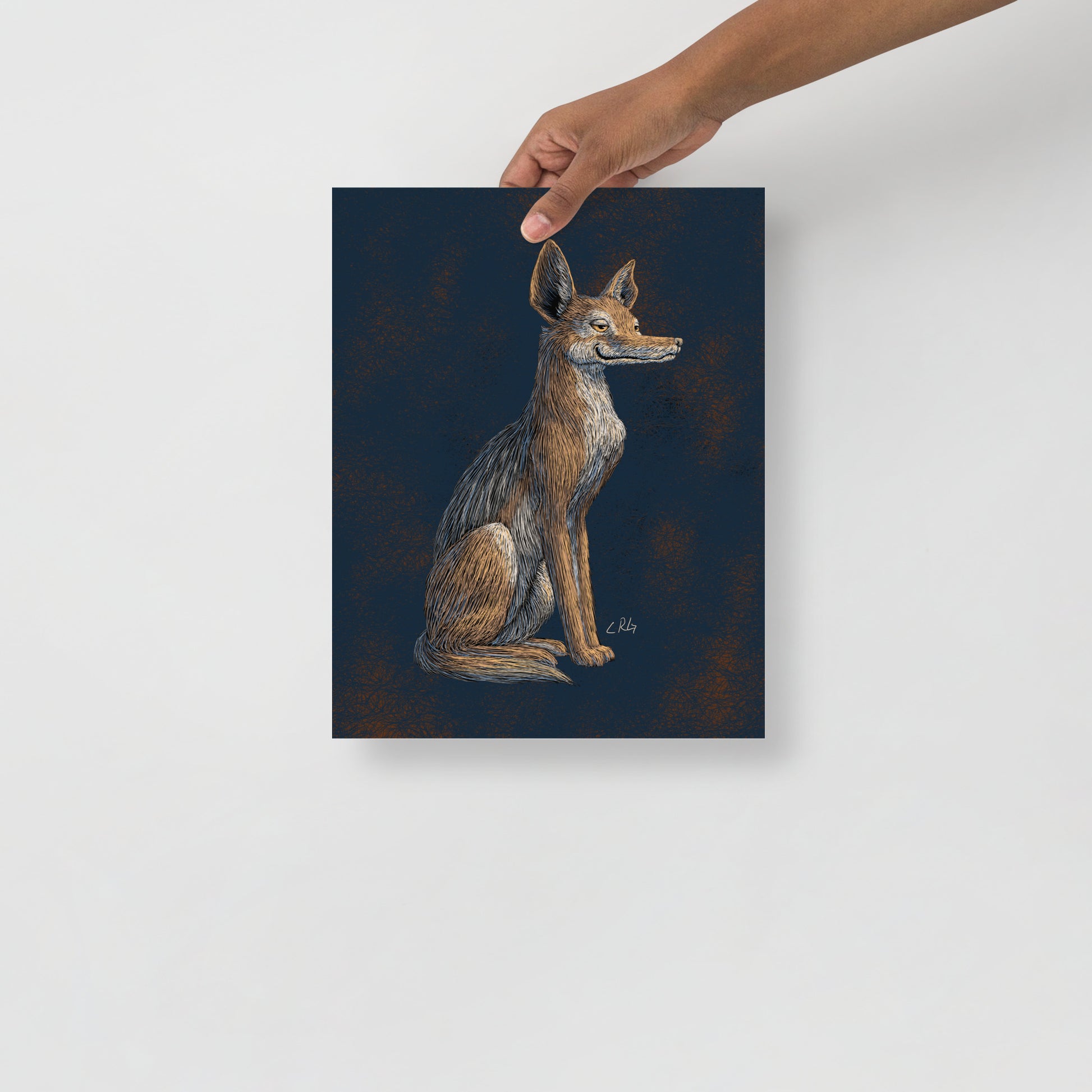 Savvy Jackal Art Print