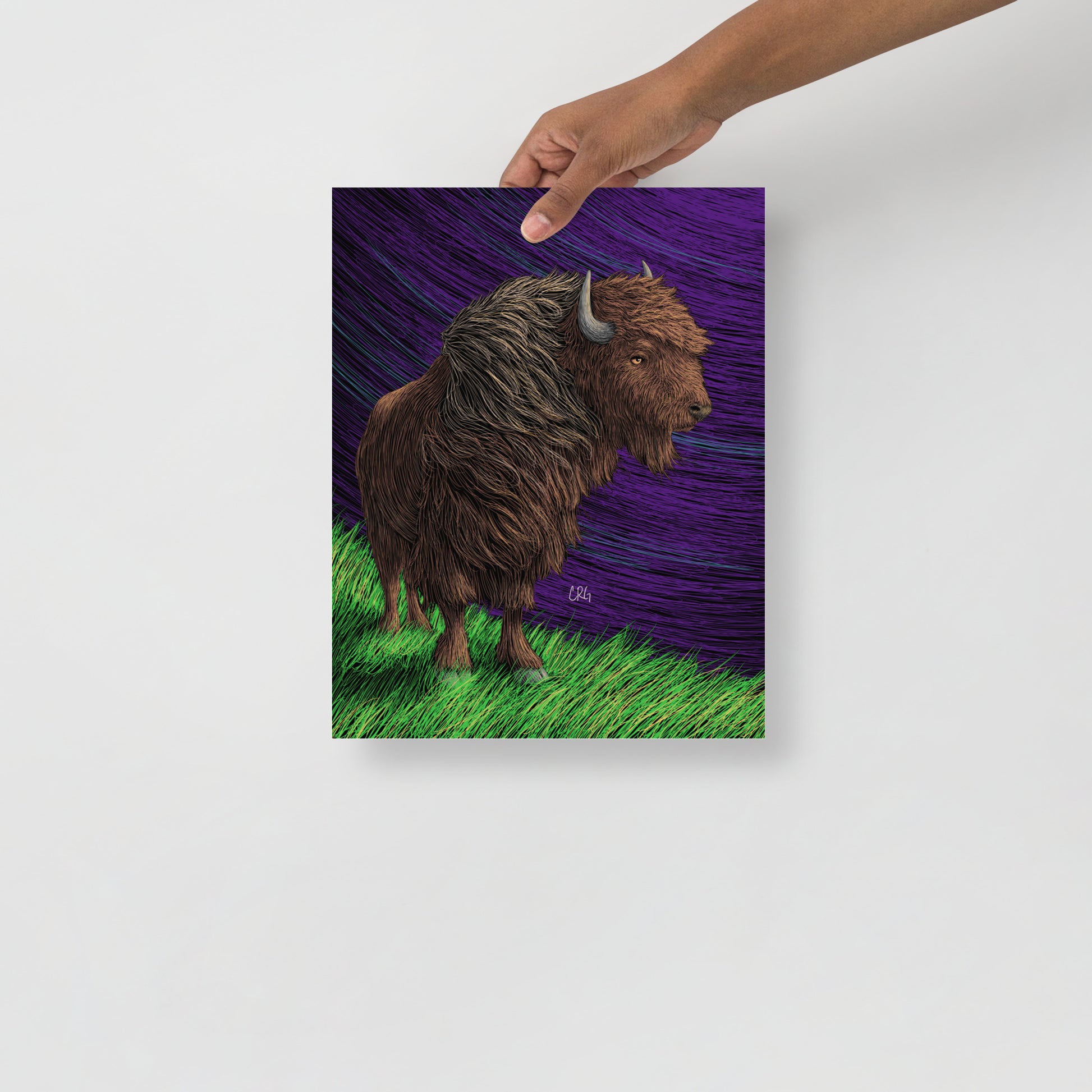 Bison Art Print