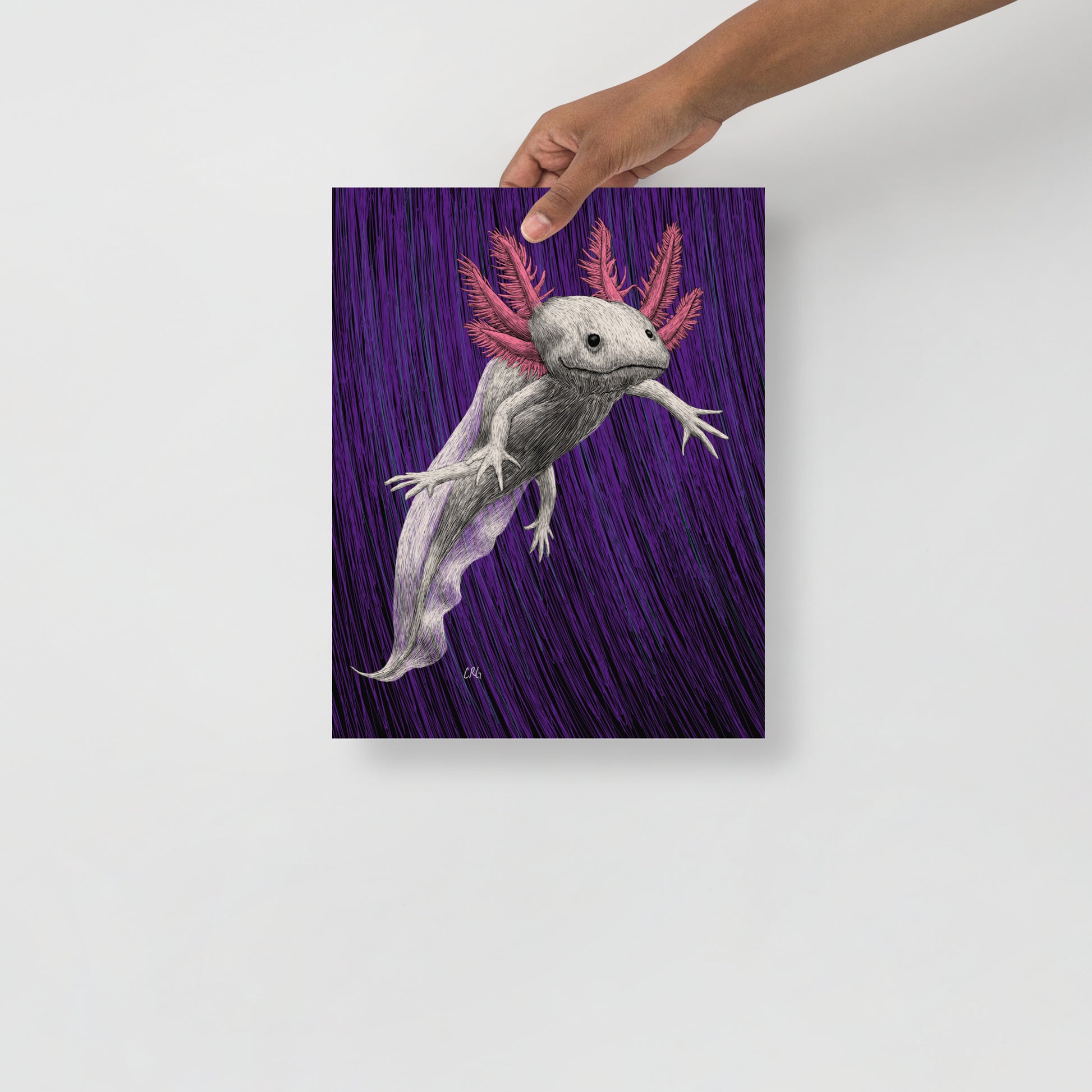 Axolotl Art Print
