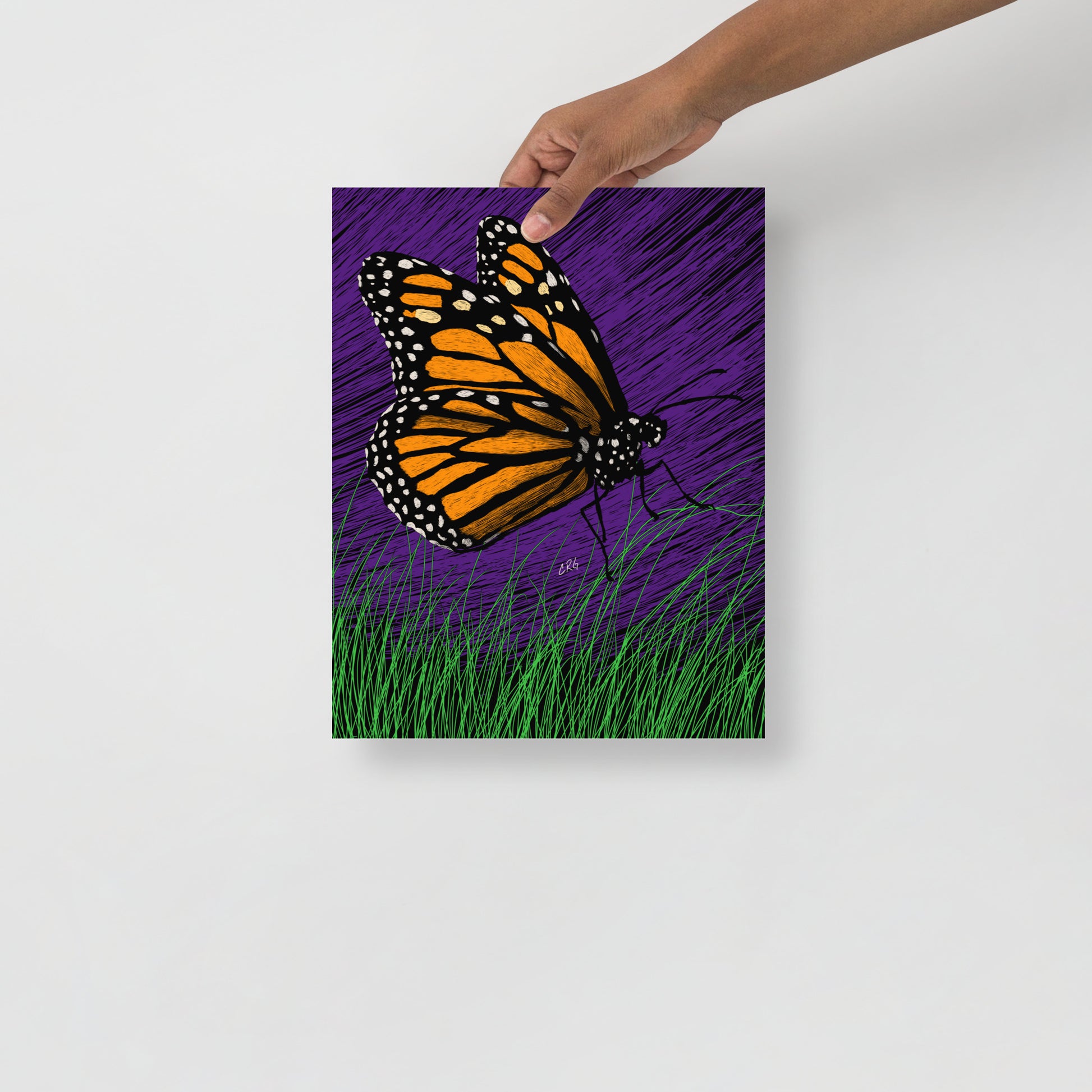 Butterfly Art Print